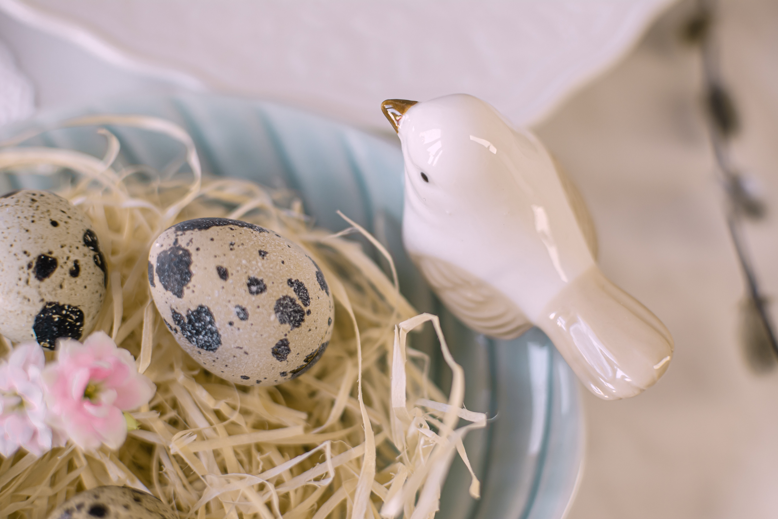 Атмосфера. Предметный и контентный фотограф в Москве и Зеленограде Анастасиевская