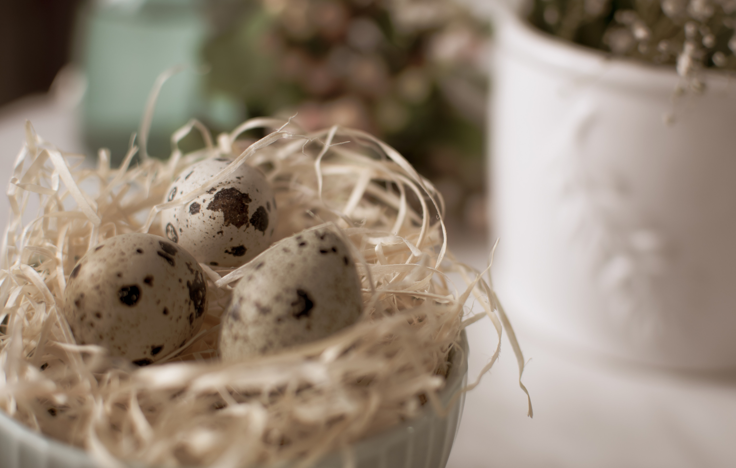 Атмосфера. Предметный и контентный фотограф в Москве и Зеленограде Анастасиевская