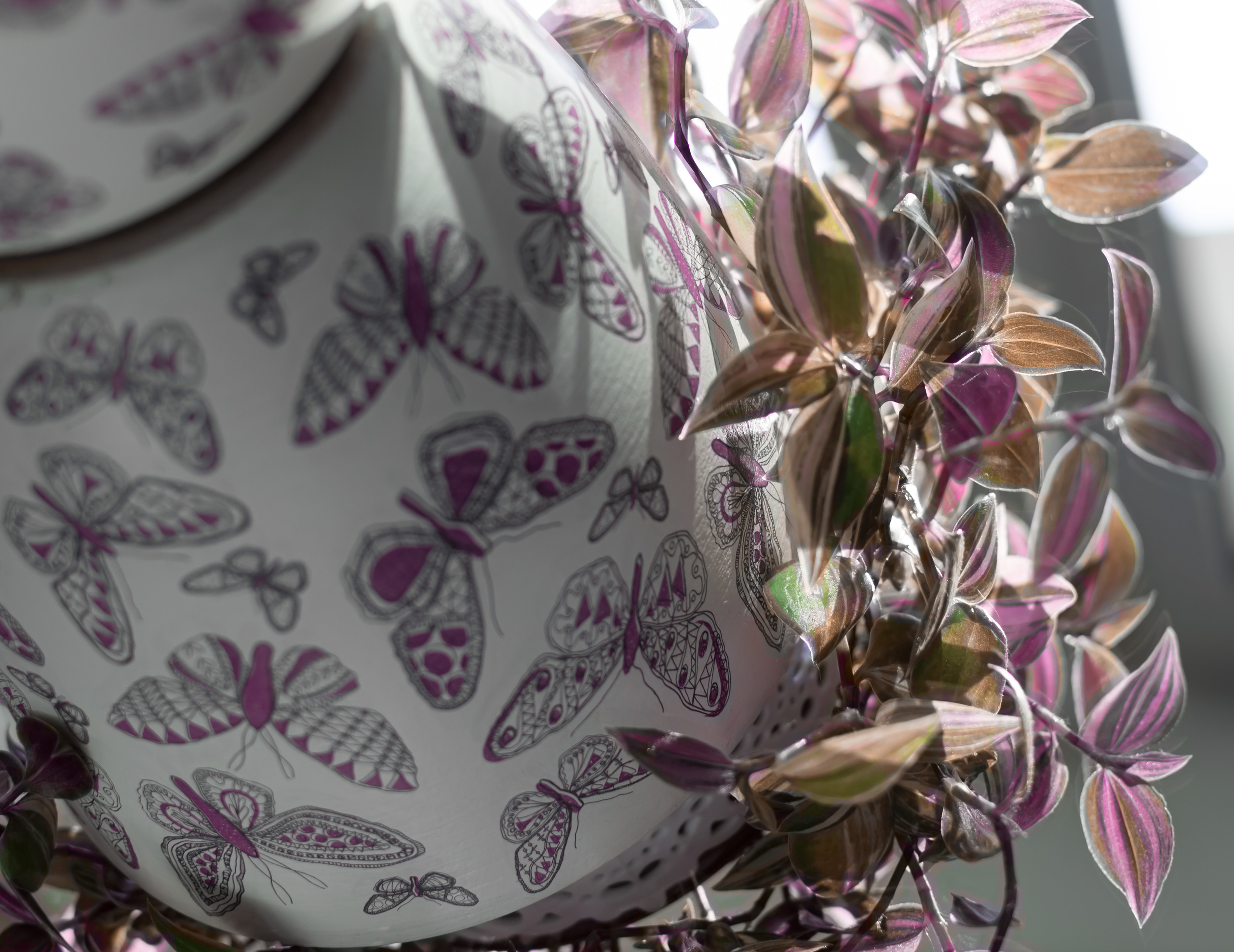 Атмосфера. Предметный и контентный фотограф в Москве и Зеленограде Анастасиевская