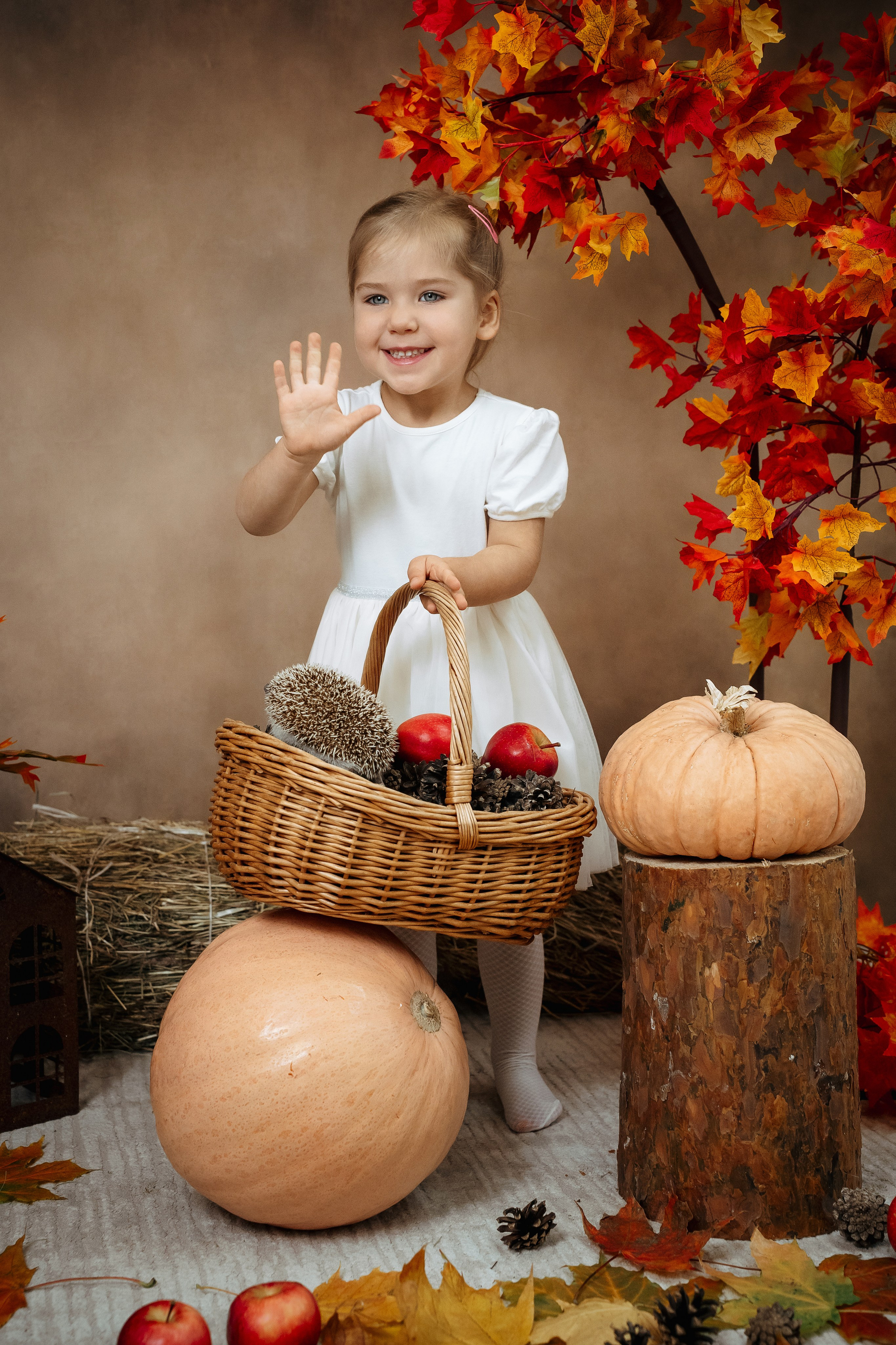 Ёжик. Фотограф Казакова Анастасия