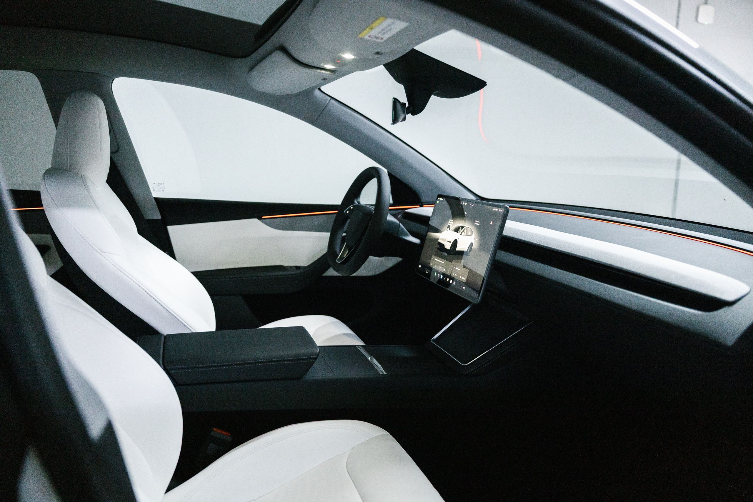 Model Y+. Эстетика Sveta