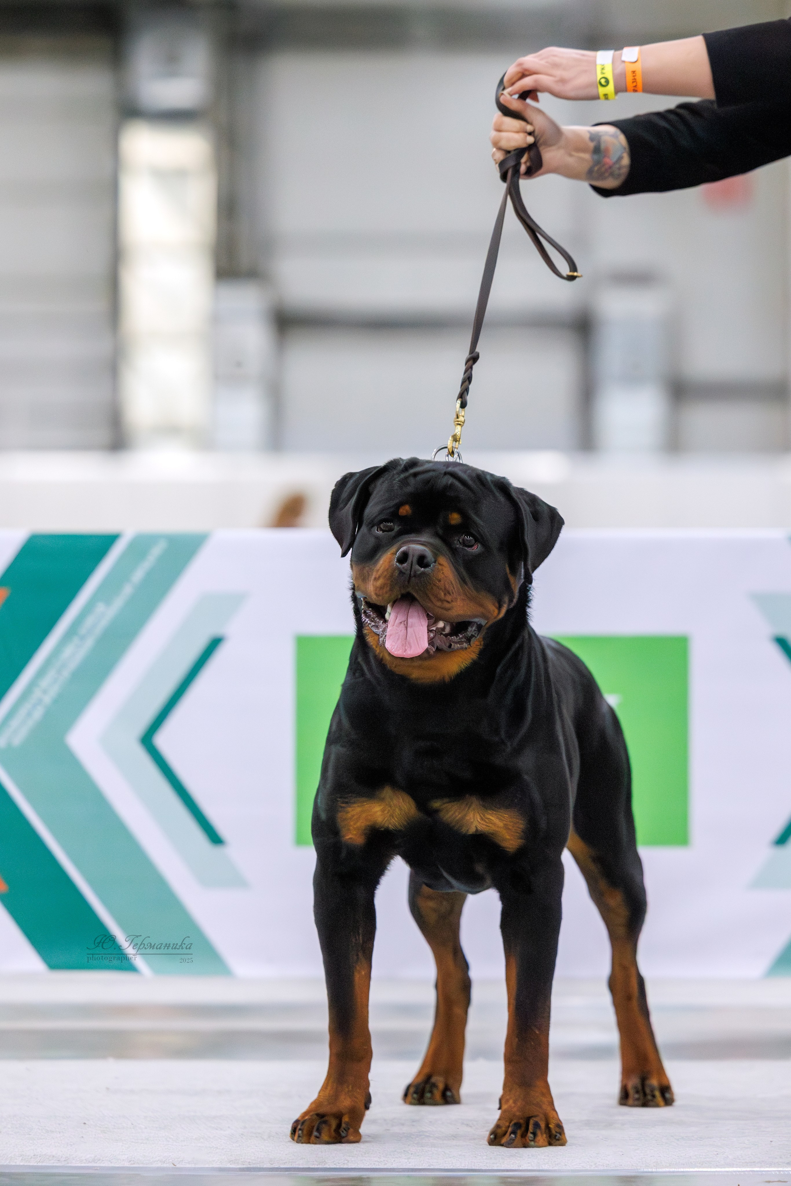 Евразия 15-16.11.2025. Фотограф-анималист Юлия Германика