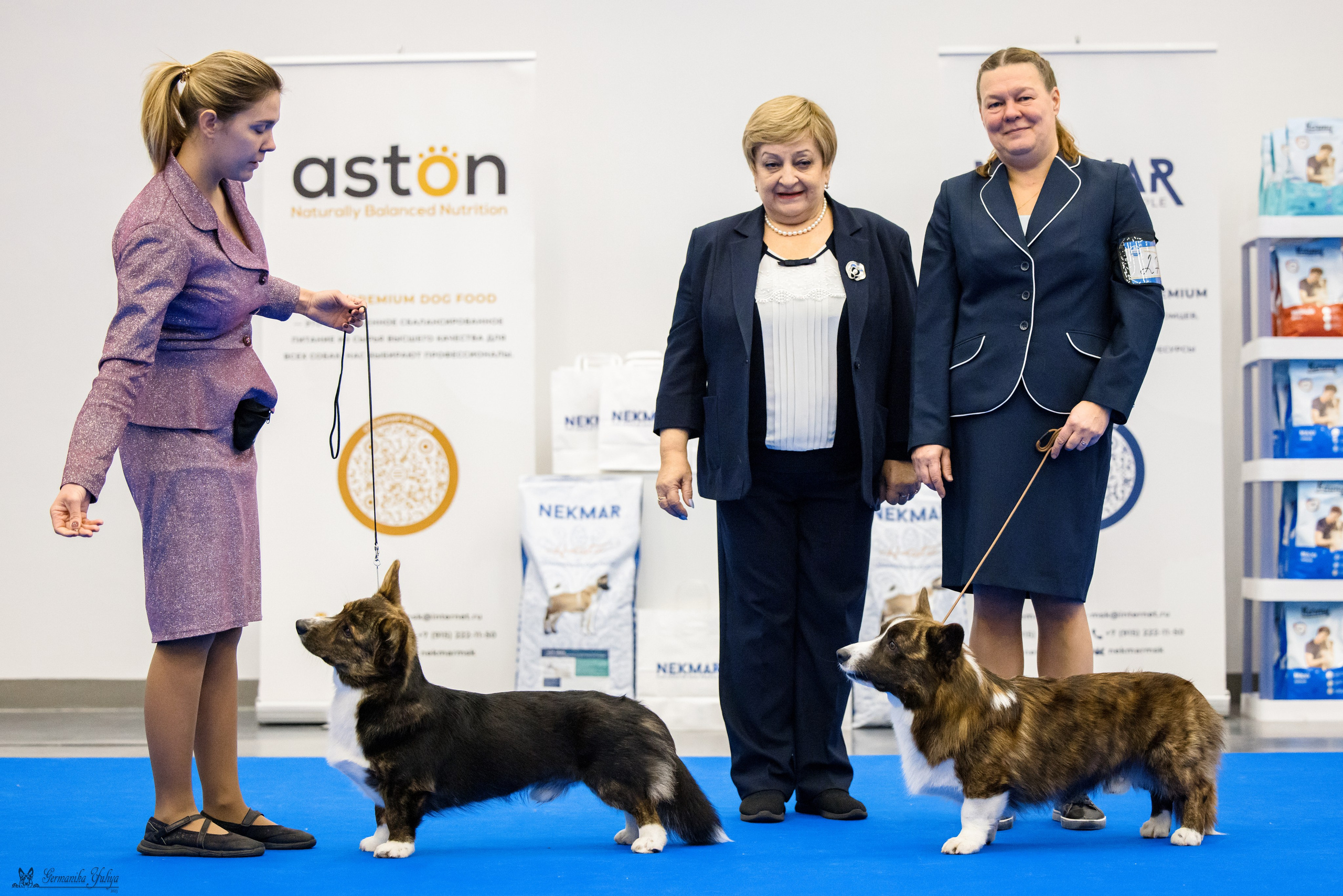 Нижний Новгород 21-22.10.2023. Фотограф-анималист Юлия Германика