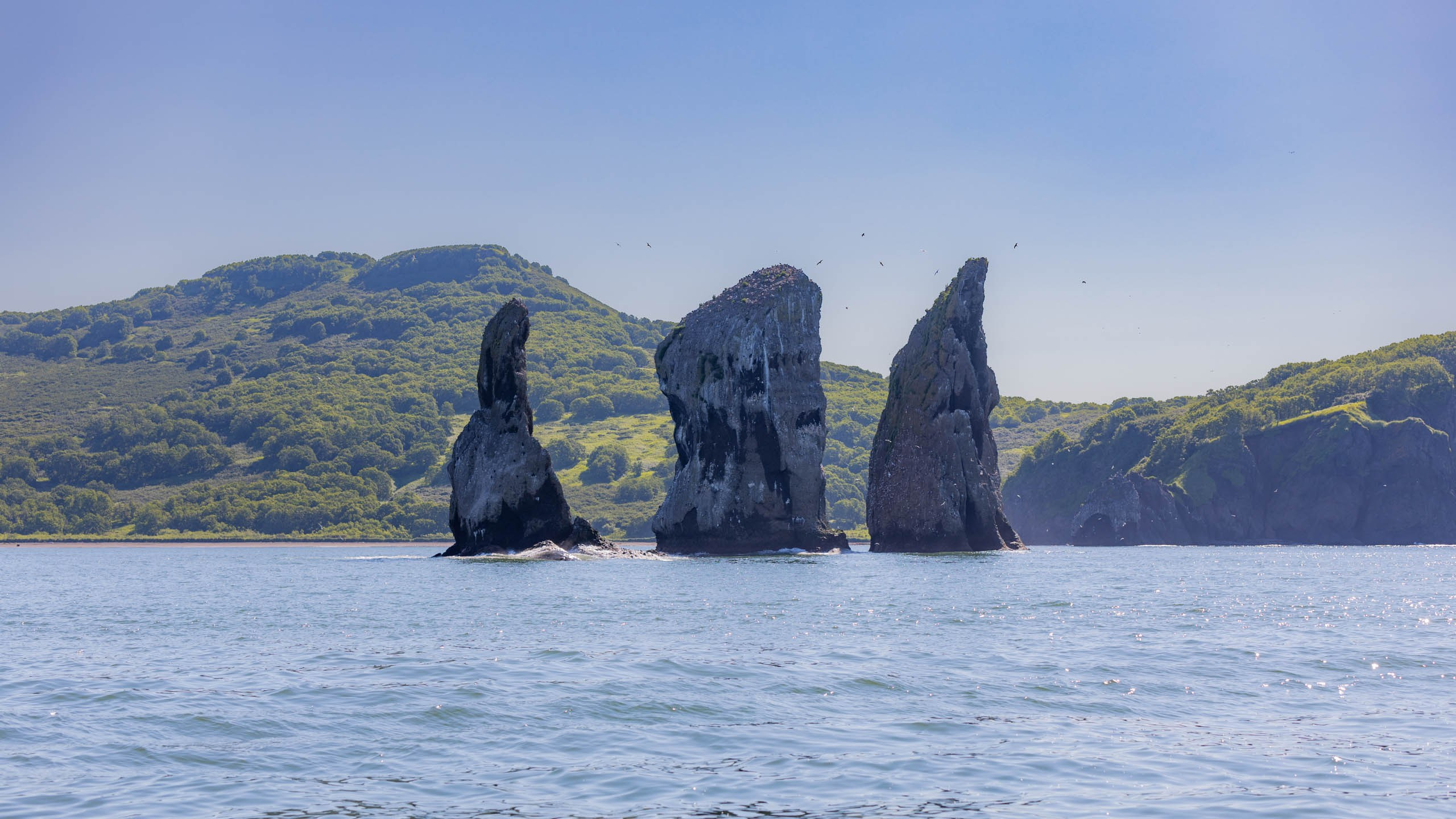 2023 07 Камчатка. Фотографии