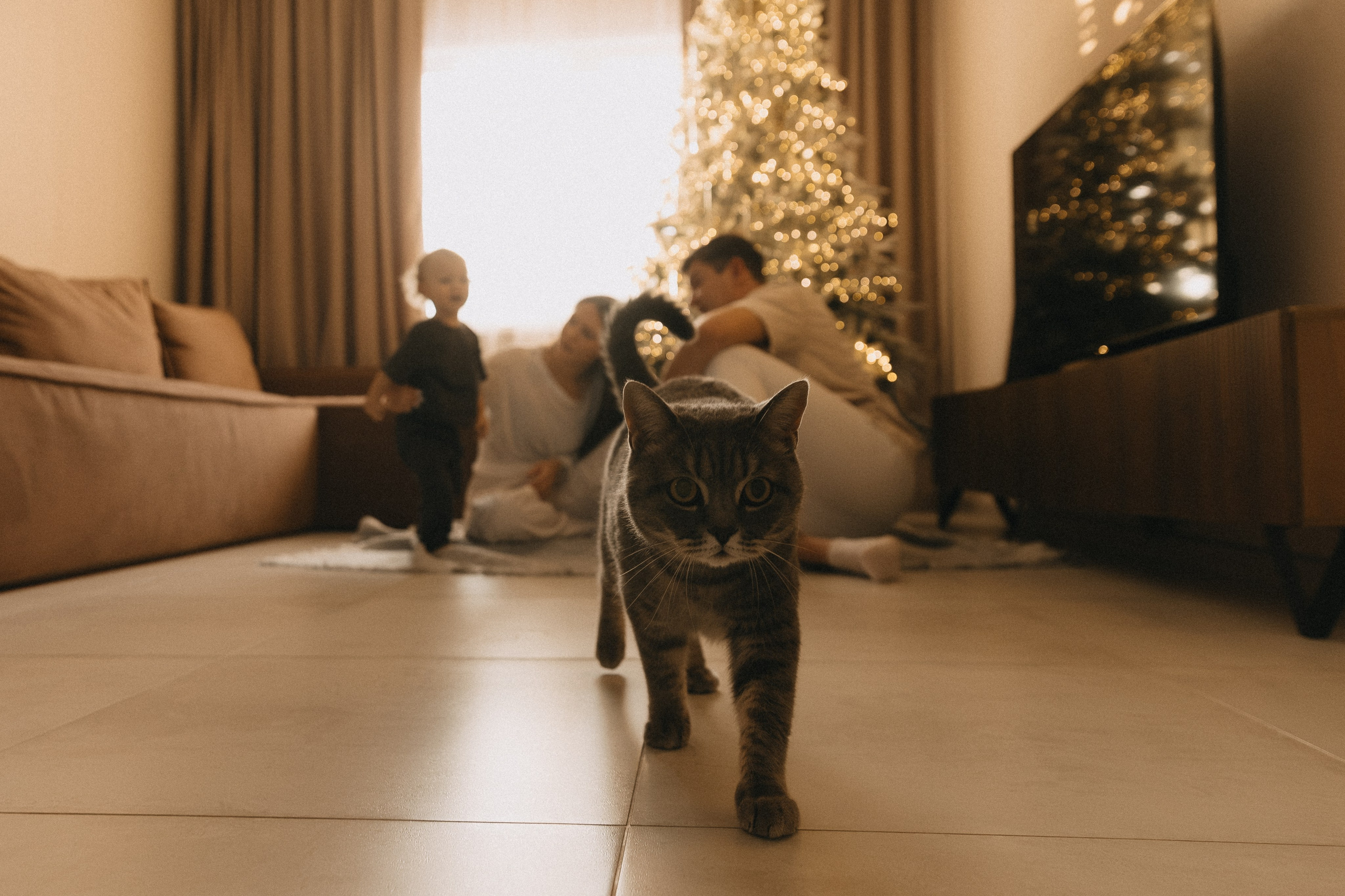 Майонезная семья. Свадебный и семейный фотограф в Красноярске Абраменко Настя