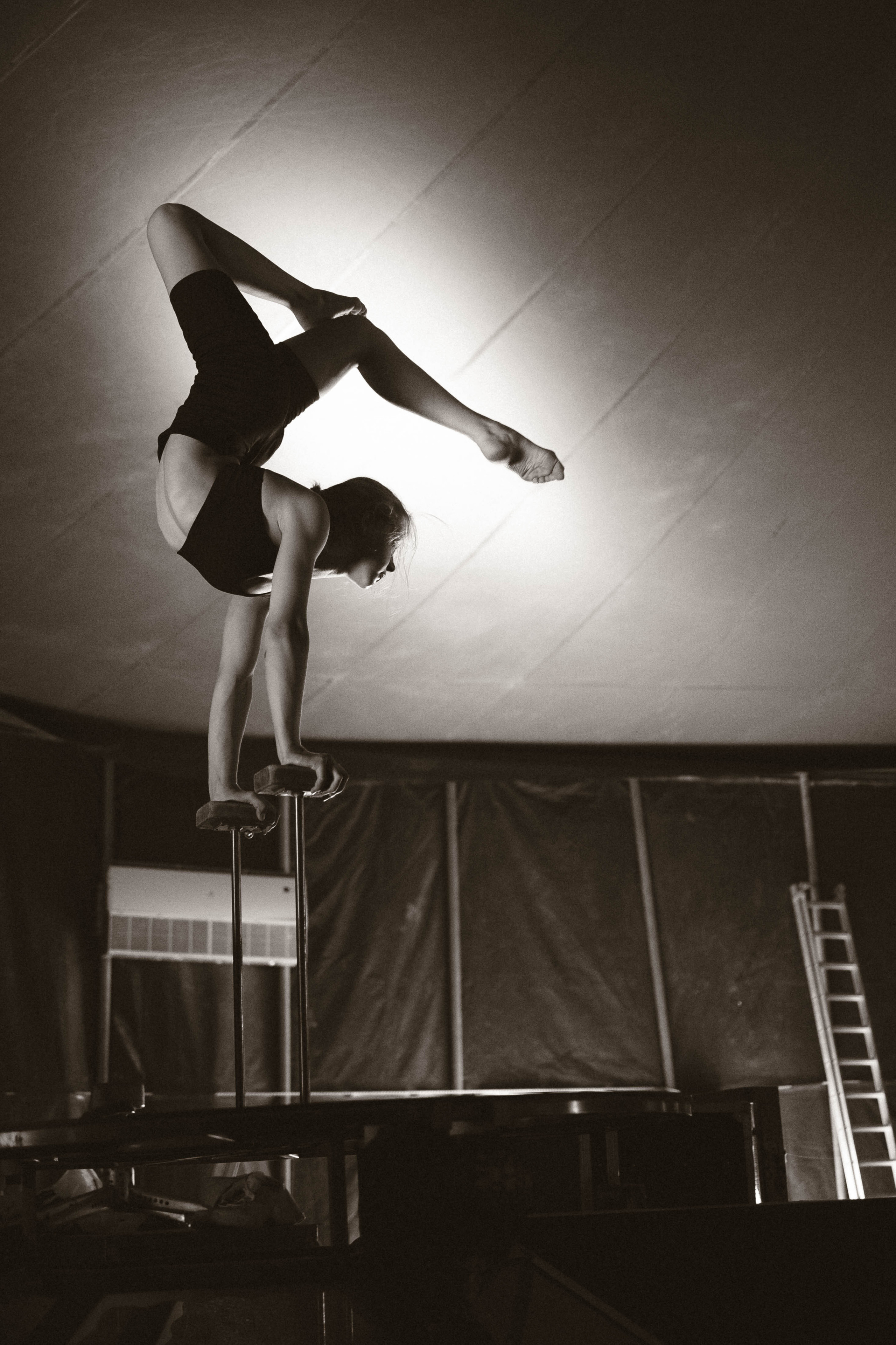 Подготовка шоу Сочи парк. Фотограф Кристина