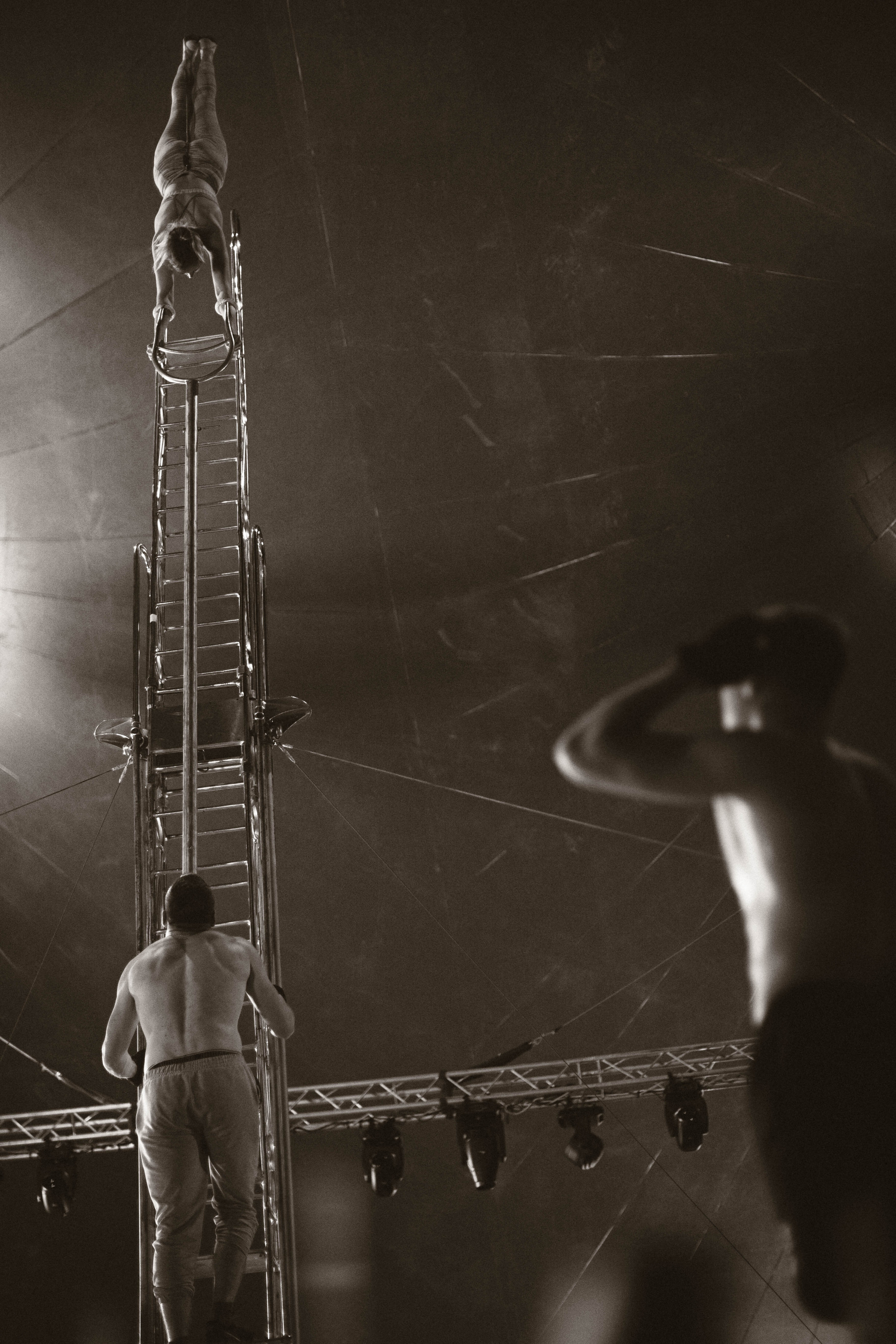 Подготовка шоу Сочи парк. Фотограф Кристина