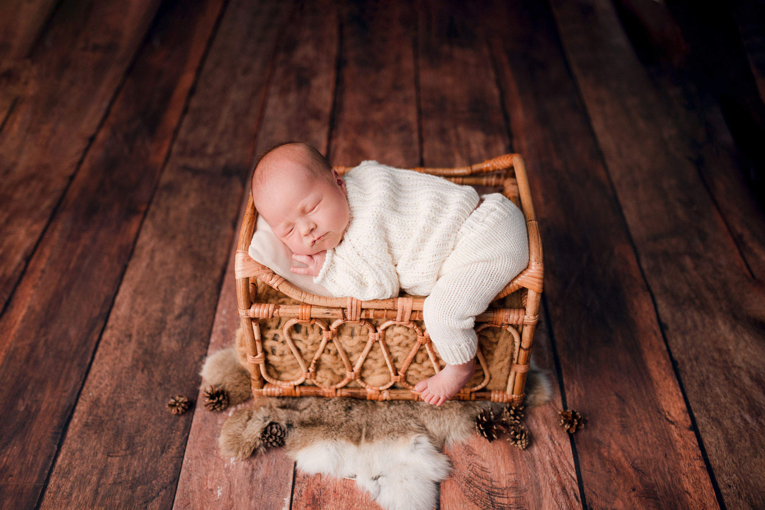 Даниил. Семейный фотограф в Москве Лилия Лебедева