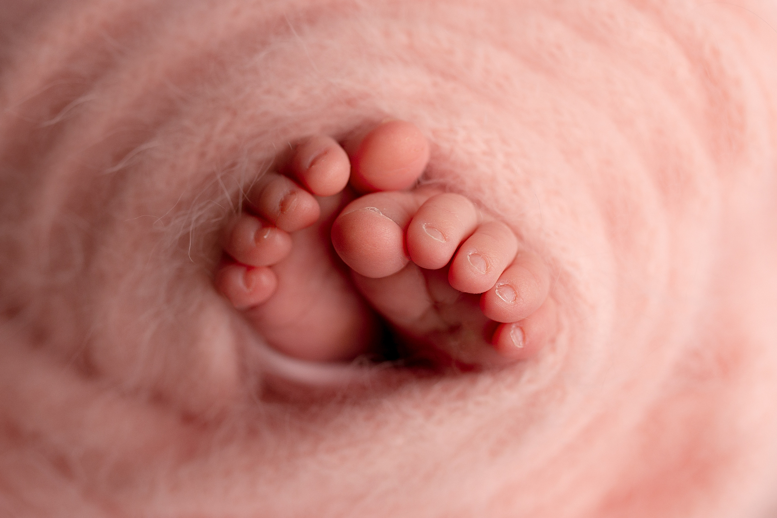 Мия. Семейный фотограф в Москве Лилия Лебедева