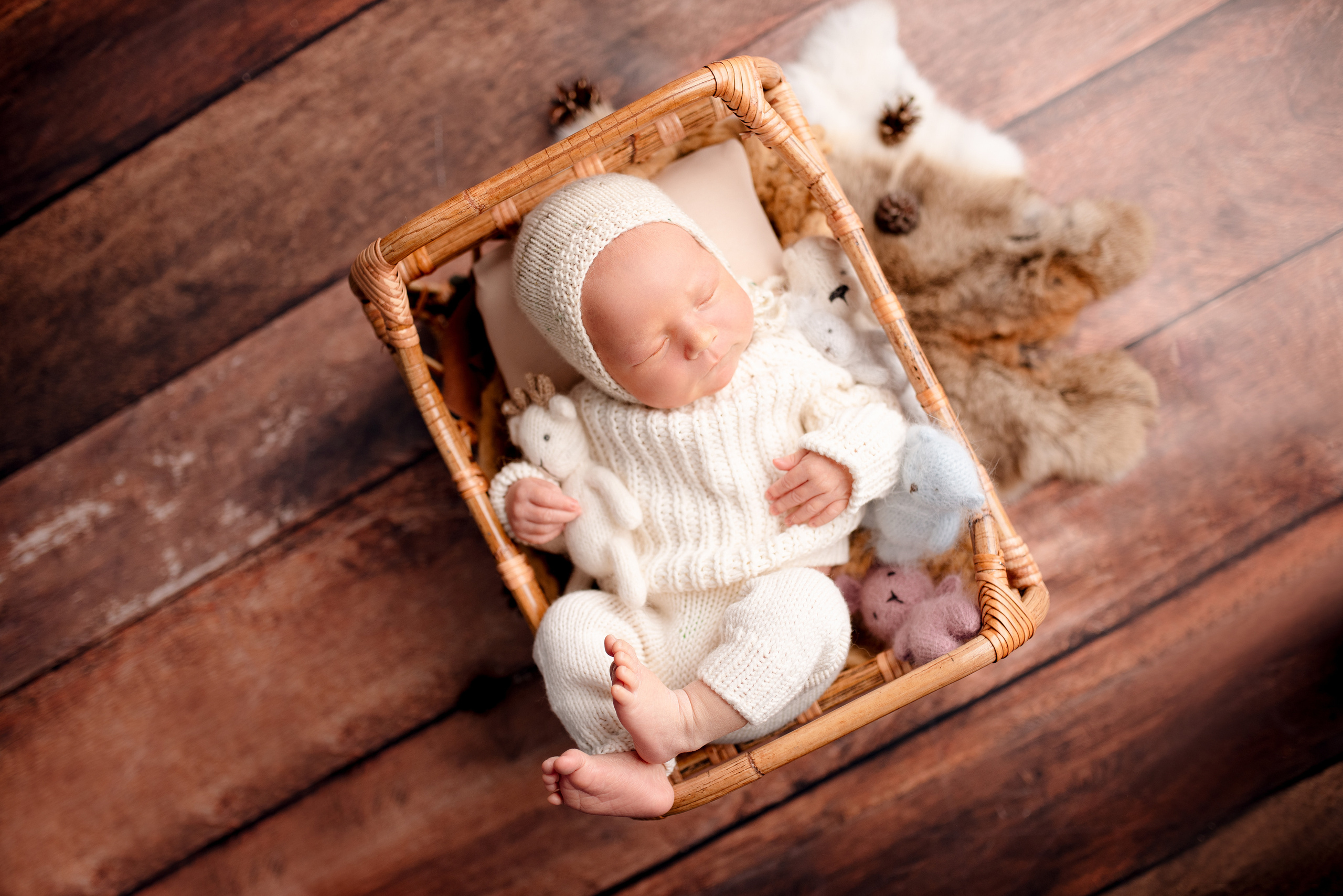 Даниил. Семейный фотограф в Москве Лилия Лебедева