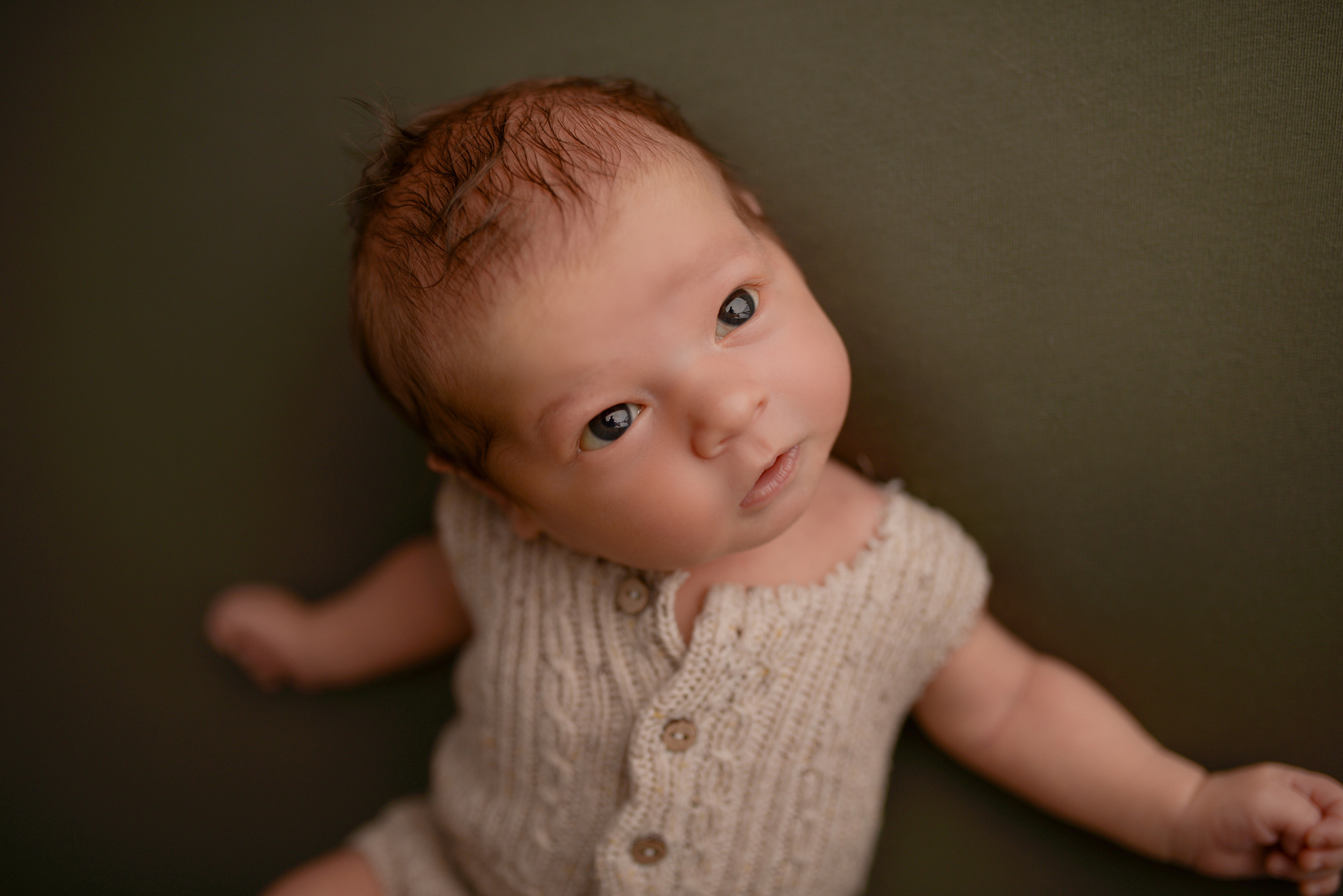 Лев. Семейный фотограф в Москве Лилия Лебедева