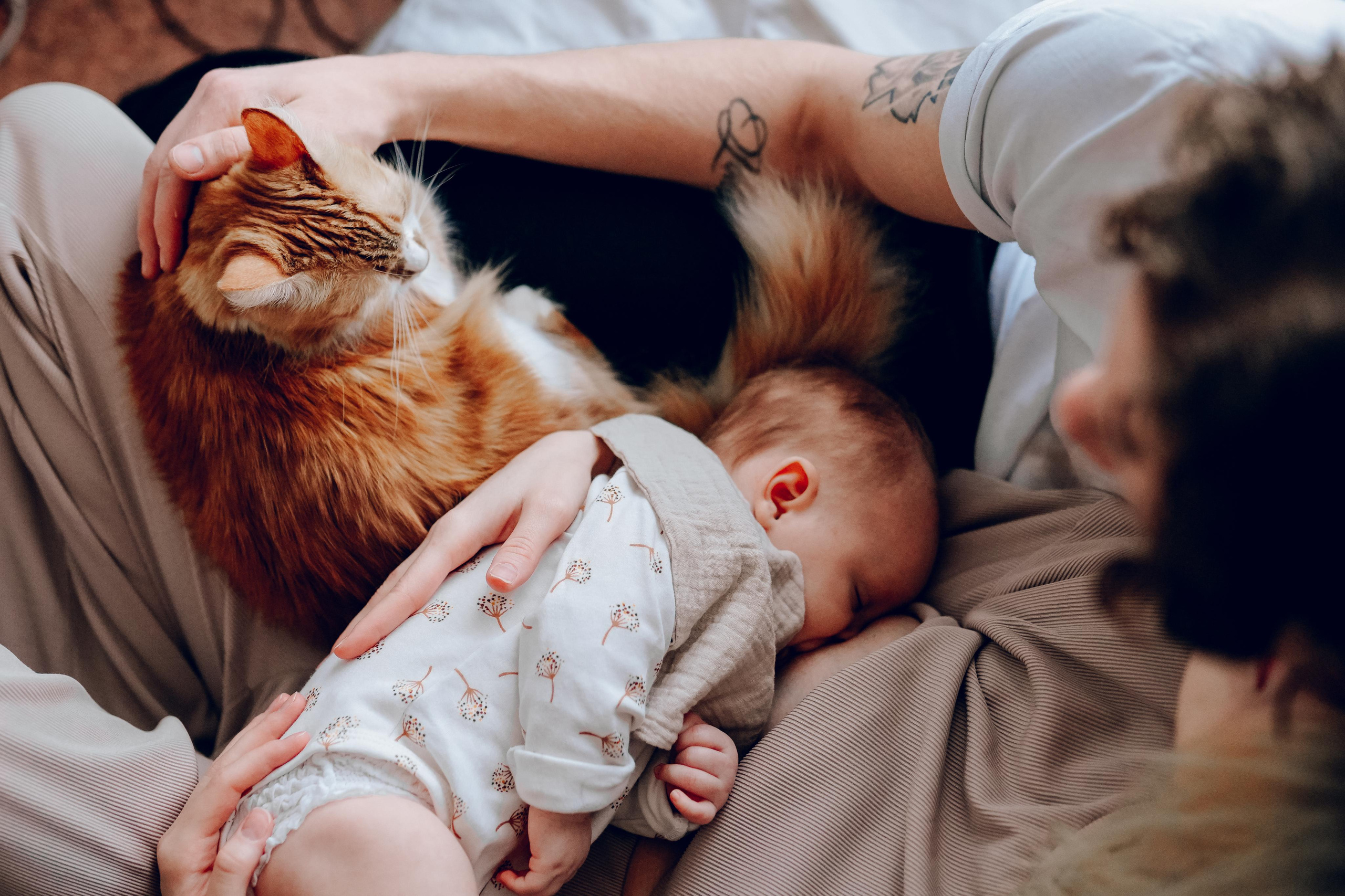 Юля, Леша, Есения. Семейный фотограф в Москве Лилия Лебедева