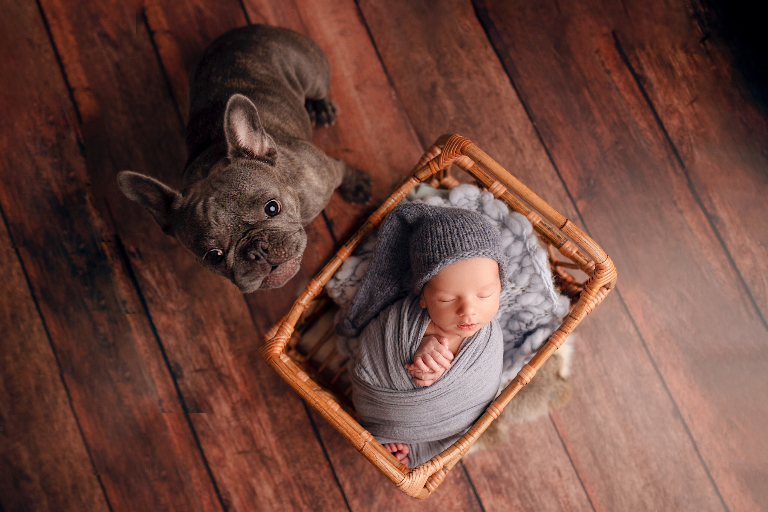 Алексей. Семейный фотограф в Москве Лилия Лебедева