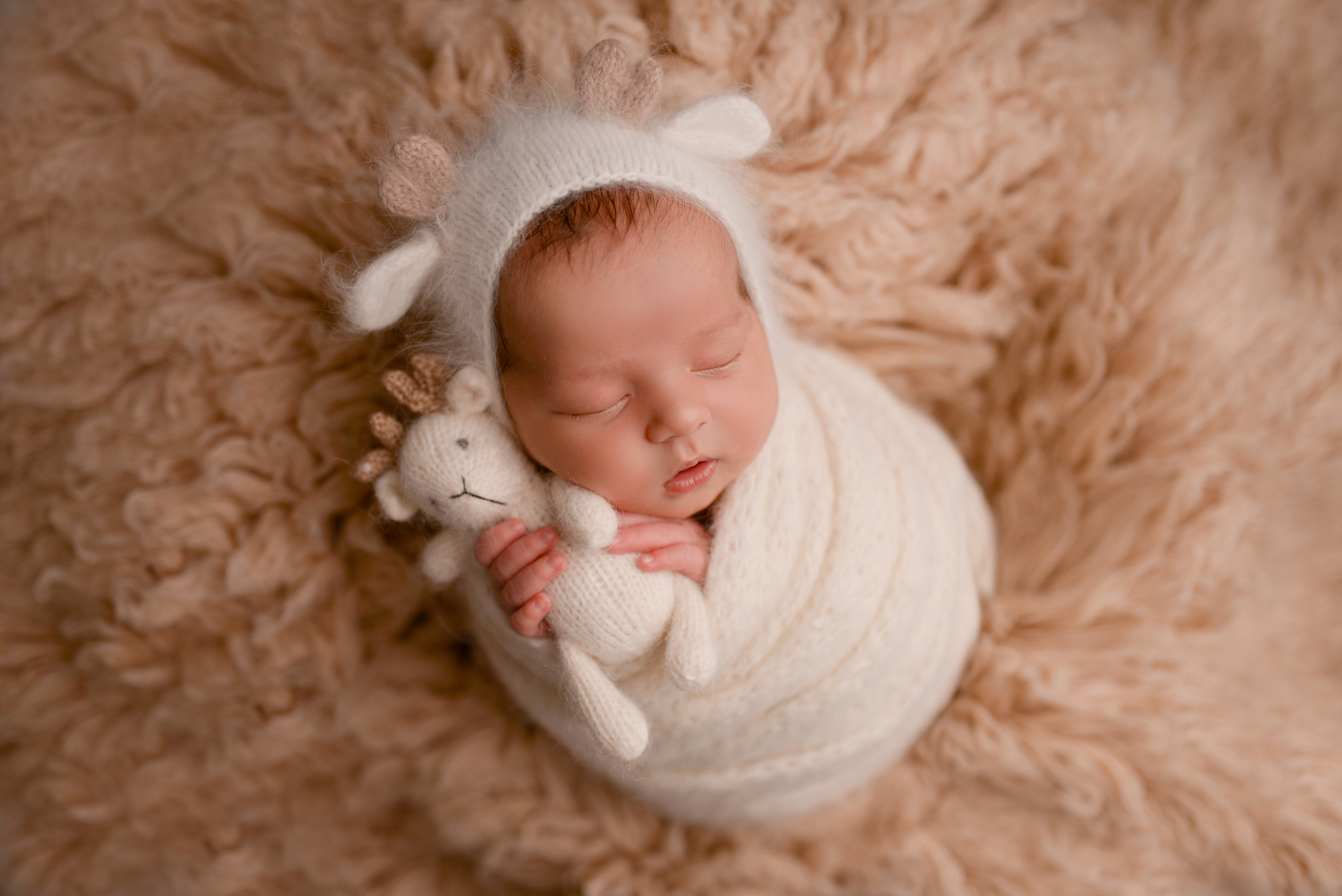 Лев. Семейный фотограф в Москве Лилия Лебедева