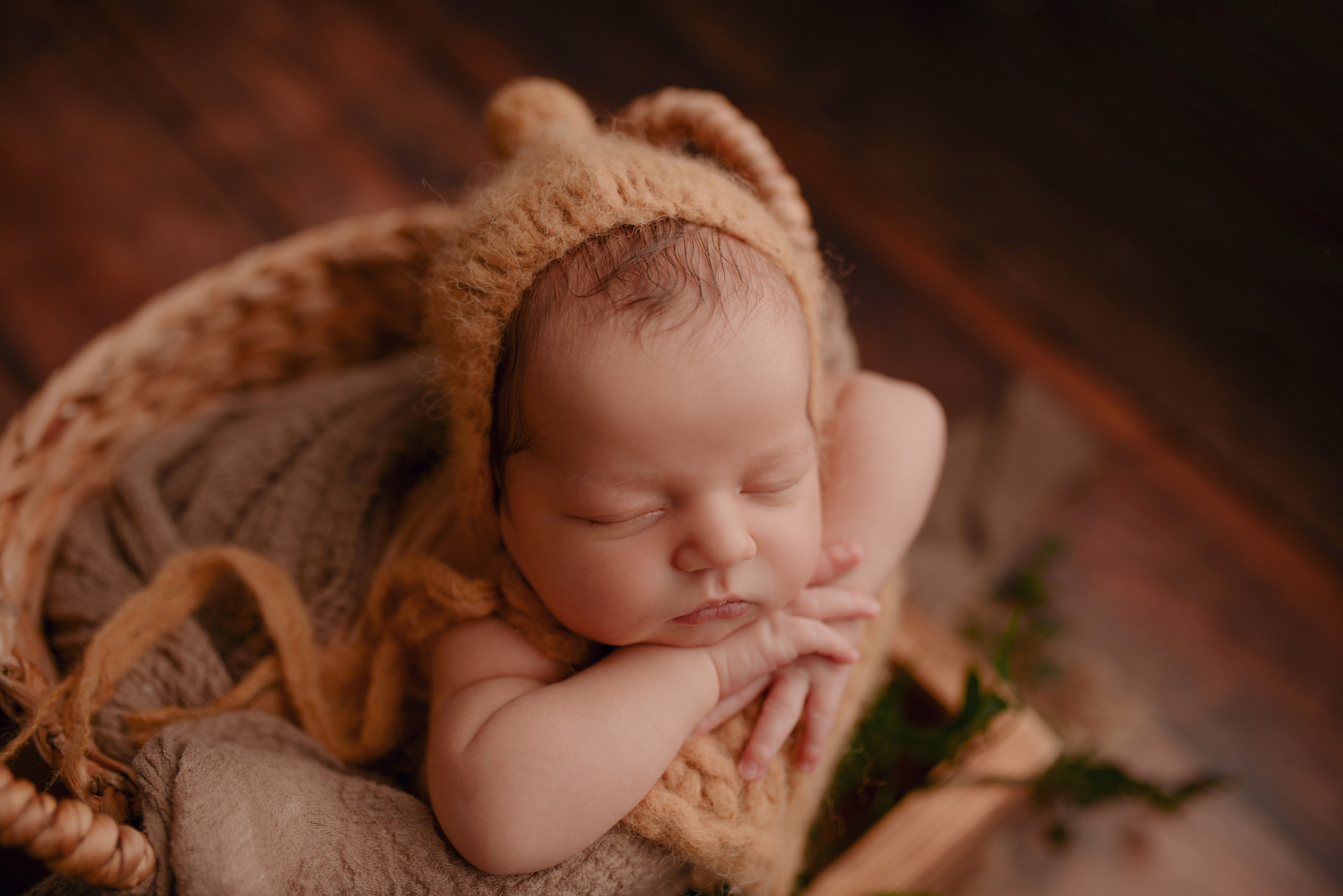 Лев. Семейный фотограф в Москве Лилия Лебедева