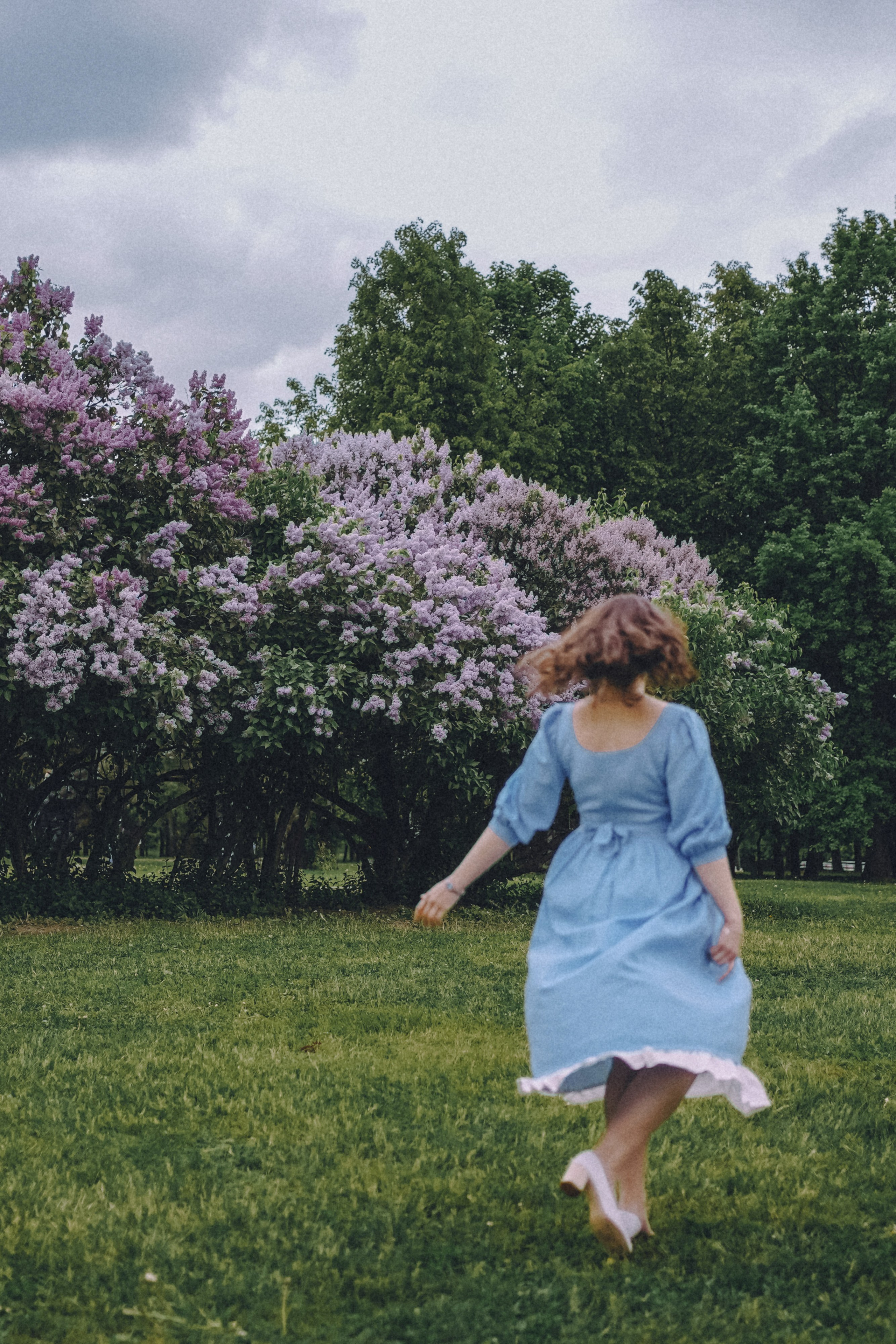 Сиреневый сон. Фотограф Наталья Колганова