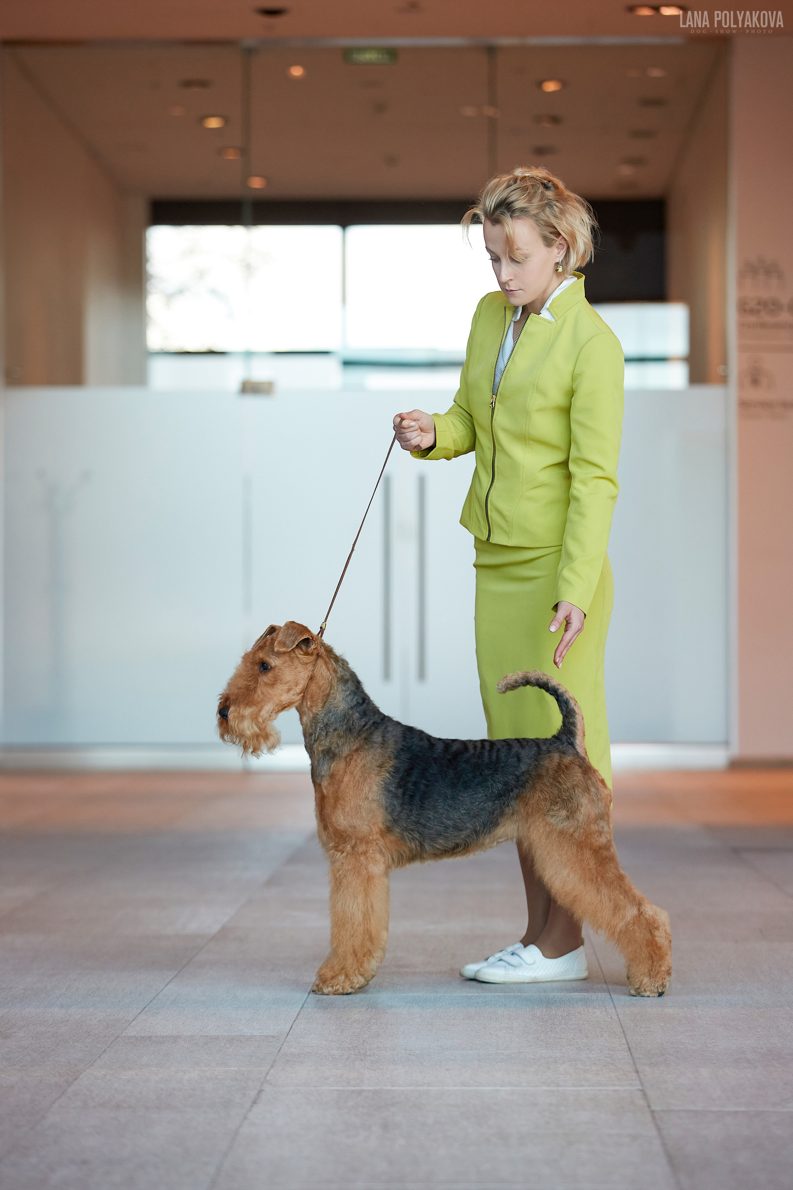 Эрдельтерьер