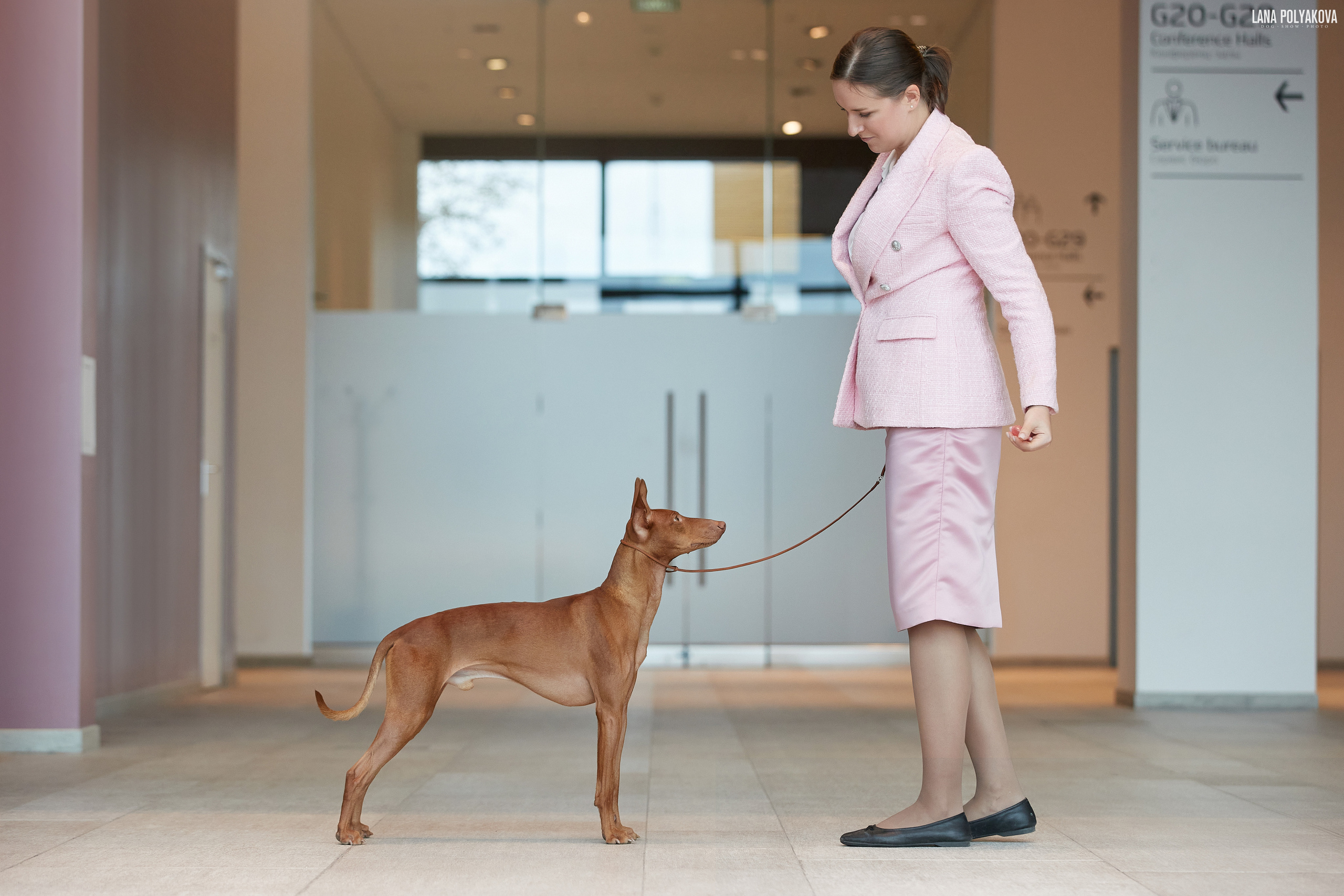 Чирнеко дель этна