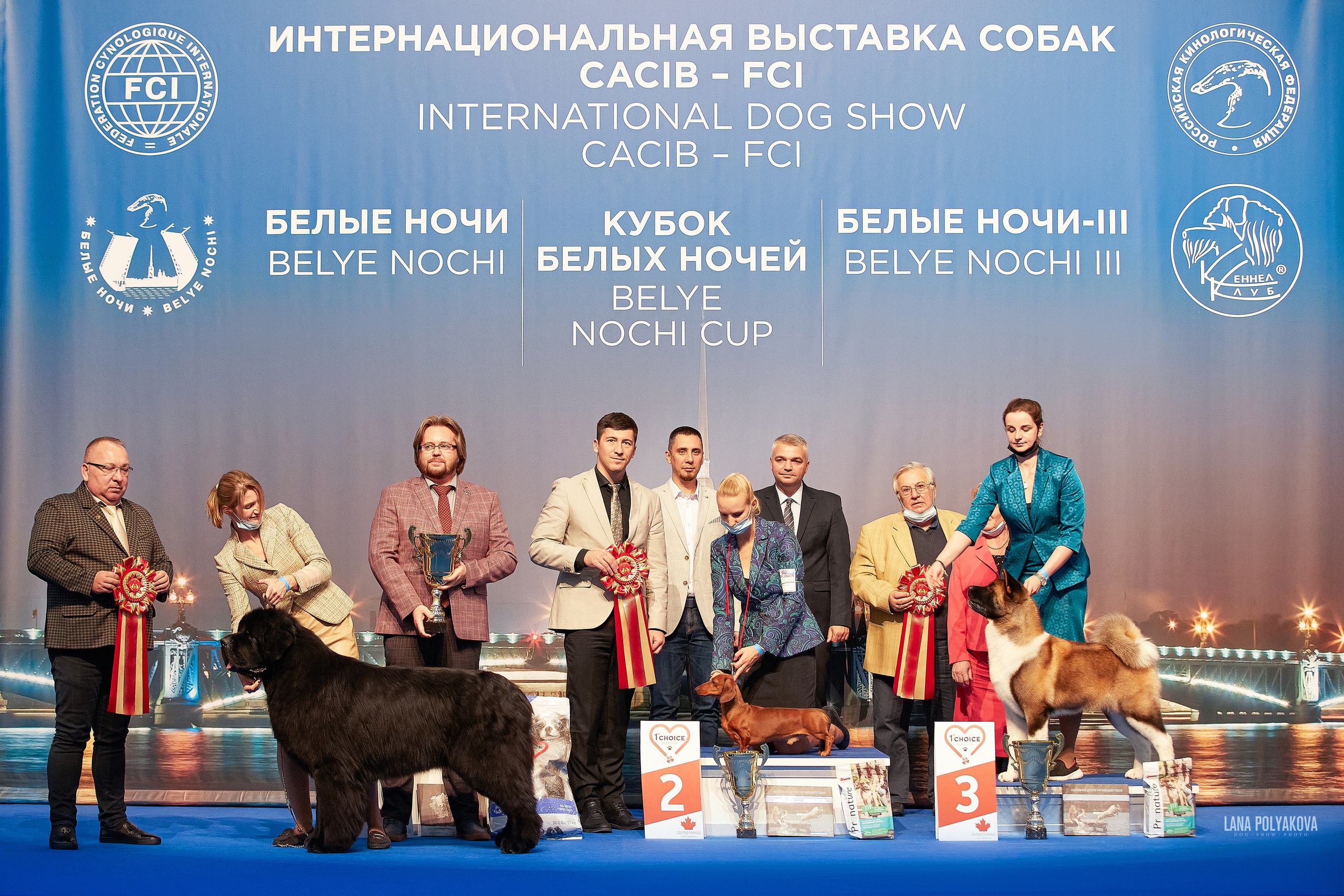 IDS «WHITE NIGHT 2021», ST.PETERSBURG. ФОТОГРАФ-АНИМАЛИСТ l LANA POLYAKOVA