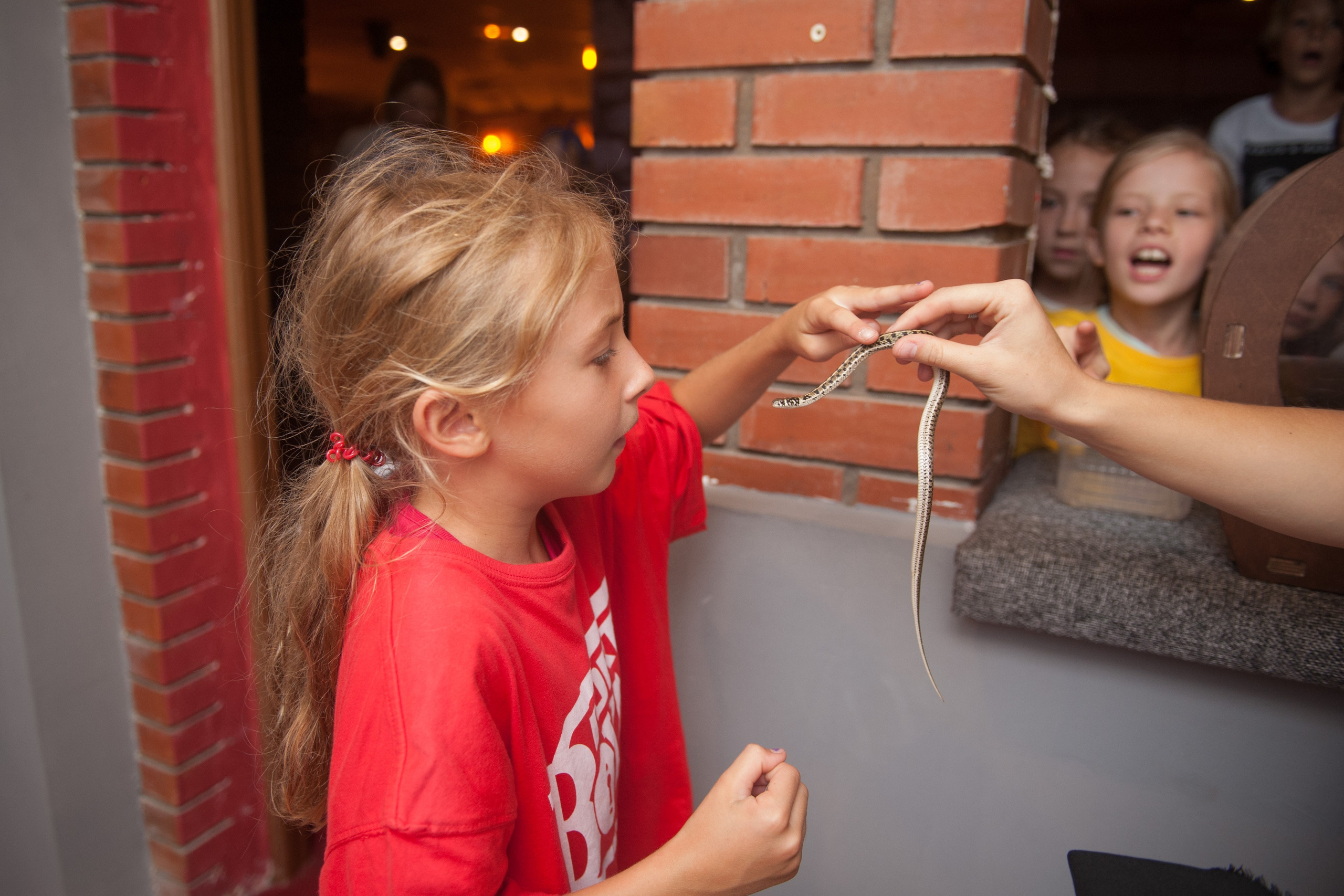 ПРАЗДНИКИ. Фотограф Вера Демидкова