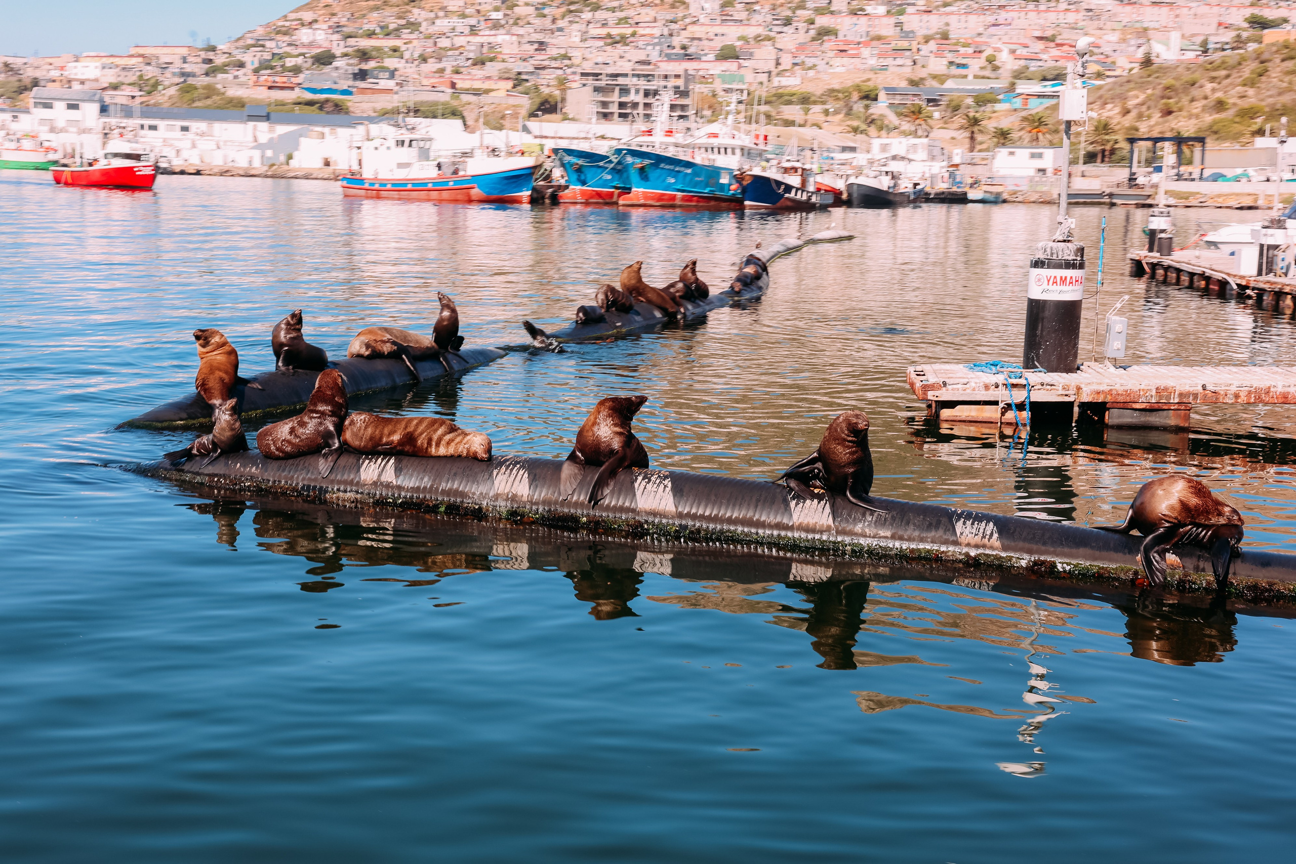 ФОТО ТУРЫ ПО МИРУ. Фотограф Марина Аблаева-Кожедуб