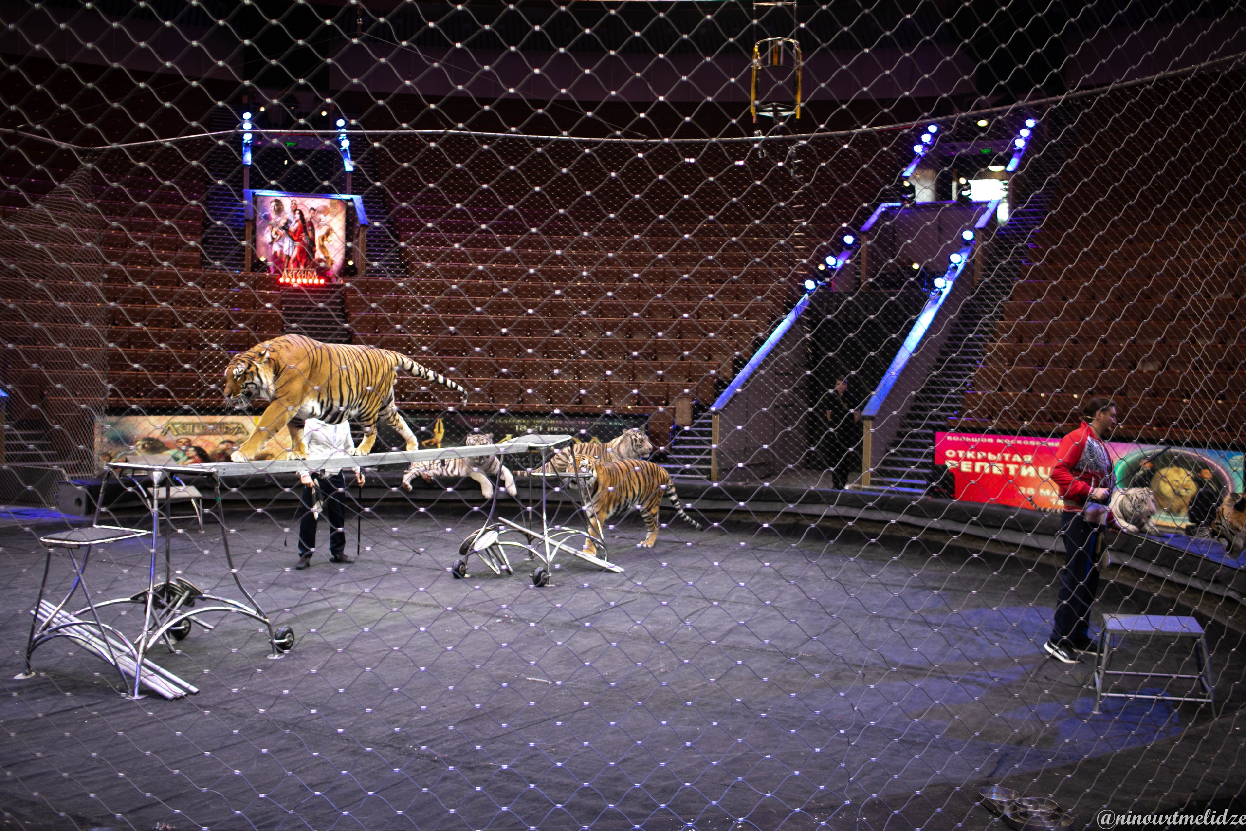 В закулисье у братьев Запашных. Art photographer Nino