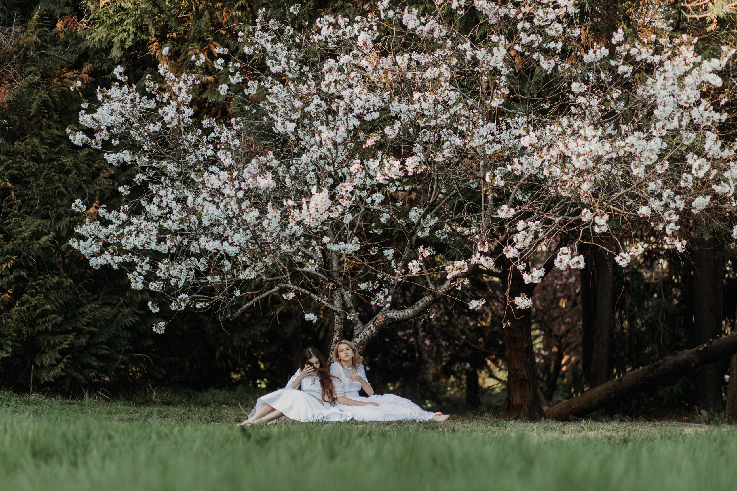 Парк Южные культуры (Сириус). Фотограф Сочи Татьяна Зорина