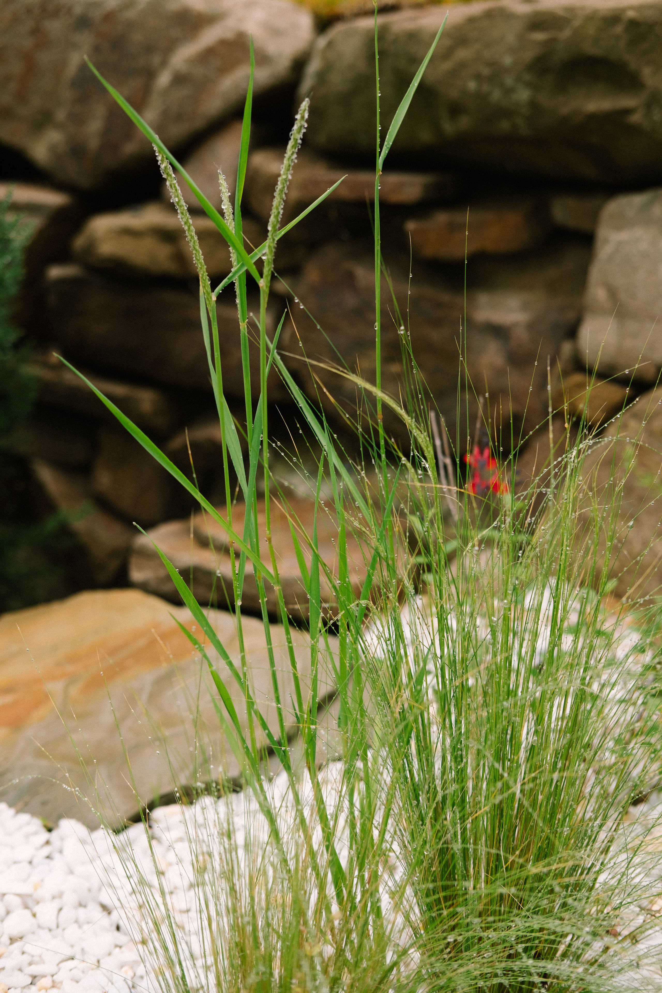 Девичник в Шепси. Фотограф в Анапе и Краснодаре Тина