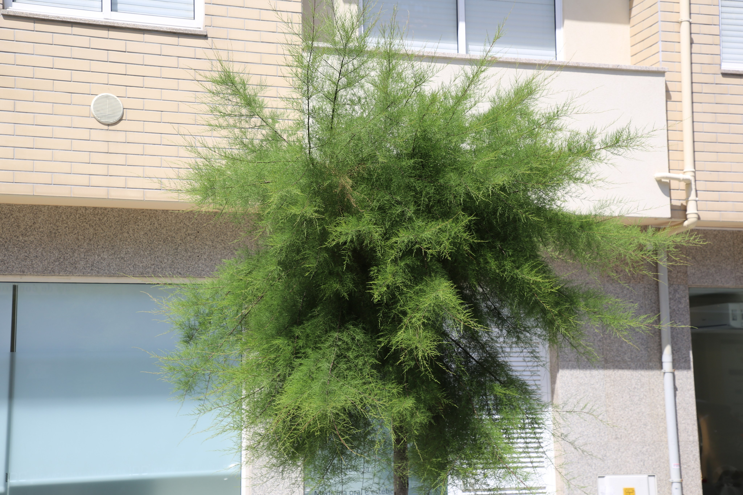 Espihnio, Portugal. Andrey Filippov Photographer