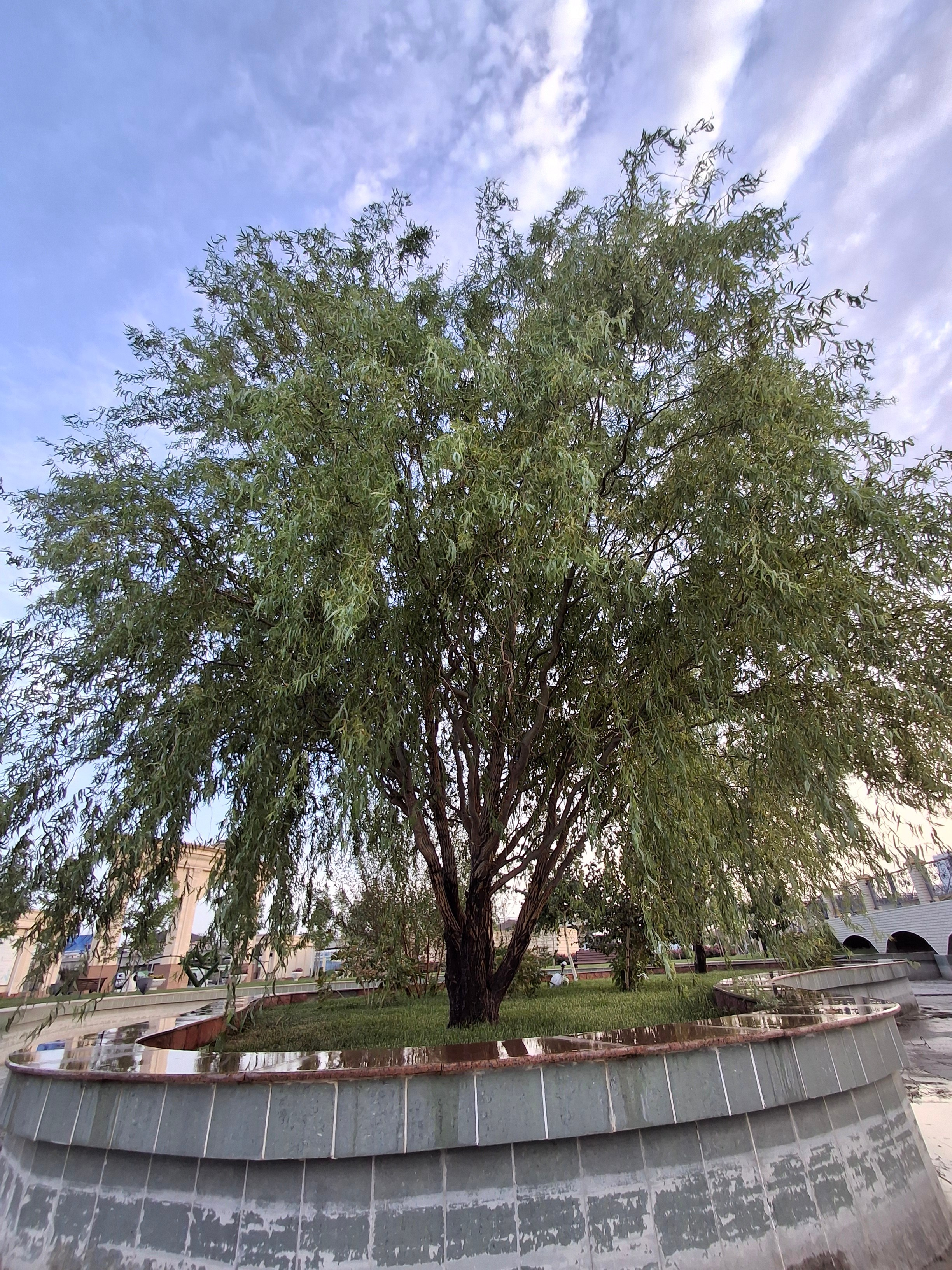 Фото сессия в стиле Ретро Жилгородок. Семейный и детский фотограф в Атырау Доскалиев Ринат
