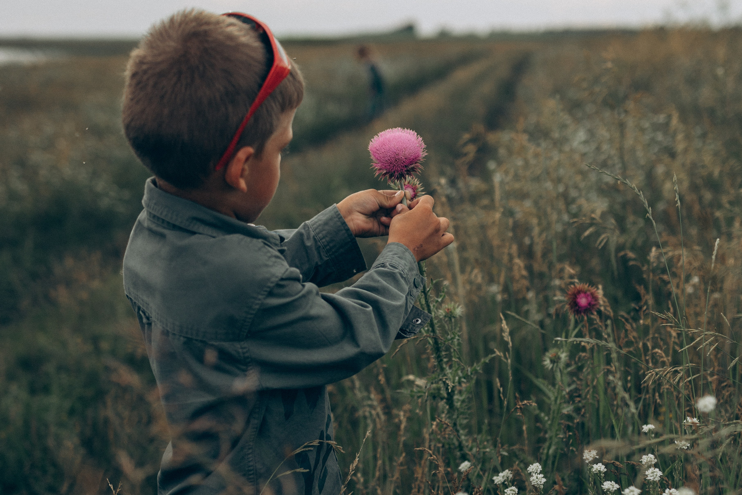 Летняя история. Семейный фотограф lifestyle в Новосибирске Елена Шпилевая