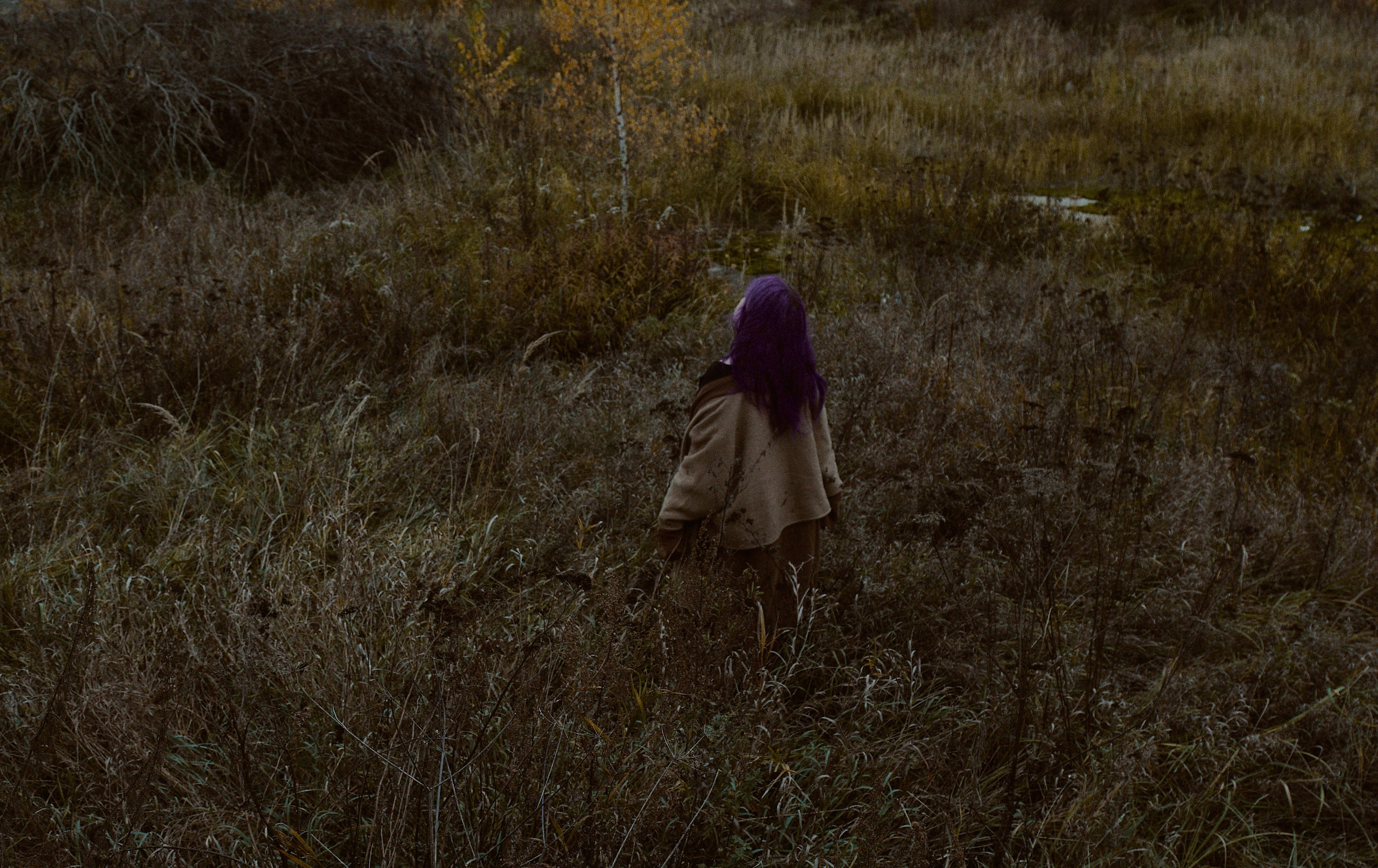 Русская сказка. Фотограф лавстори Москва/МО Приятелева Ангелина