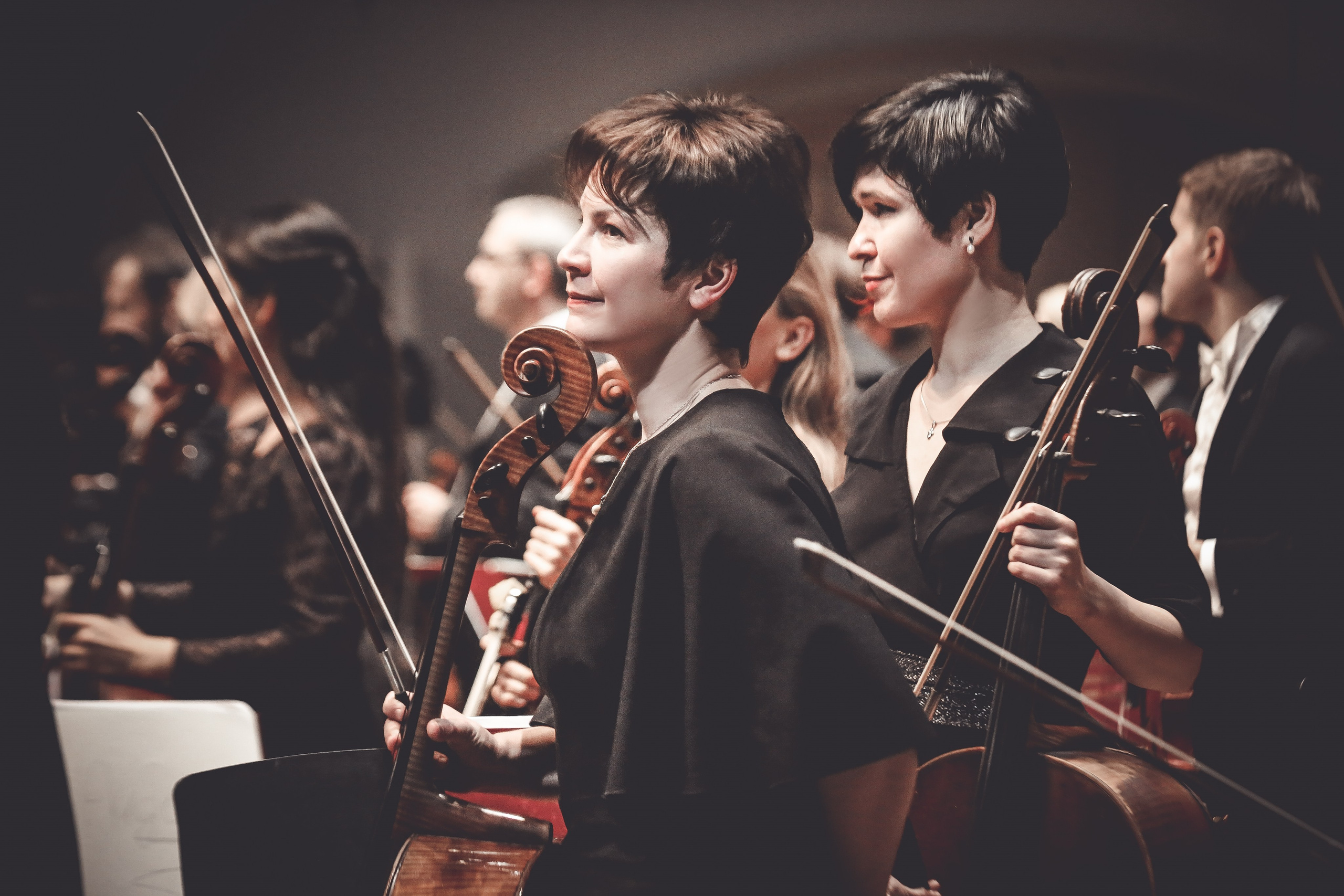 Рождественские концерты — зима 2019-2020. Дарья Письменюк / Darya Leitstern — фотограф, музыкант, журналист, путешественник