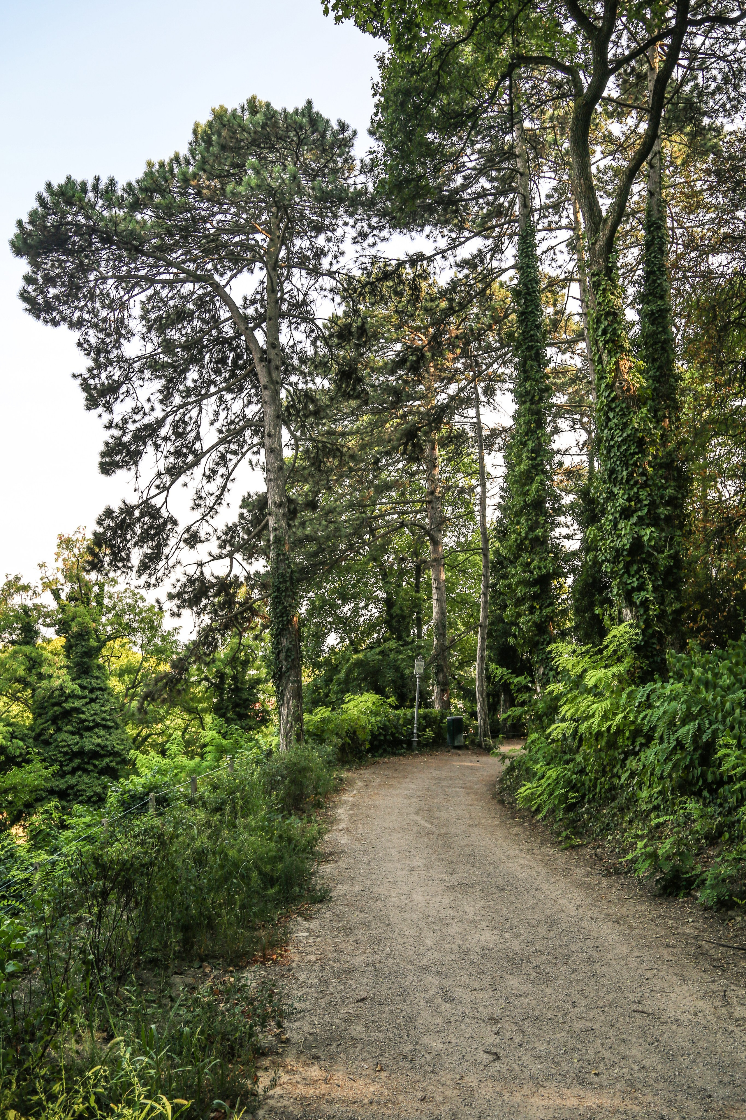 Австрия: Баден. Дарья Письменюк / Darya Leitstern — фотограф, музыкант, журналист, путешественник