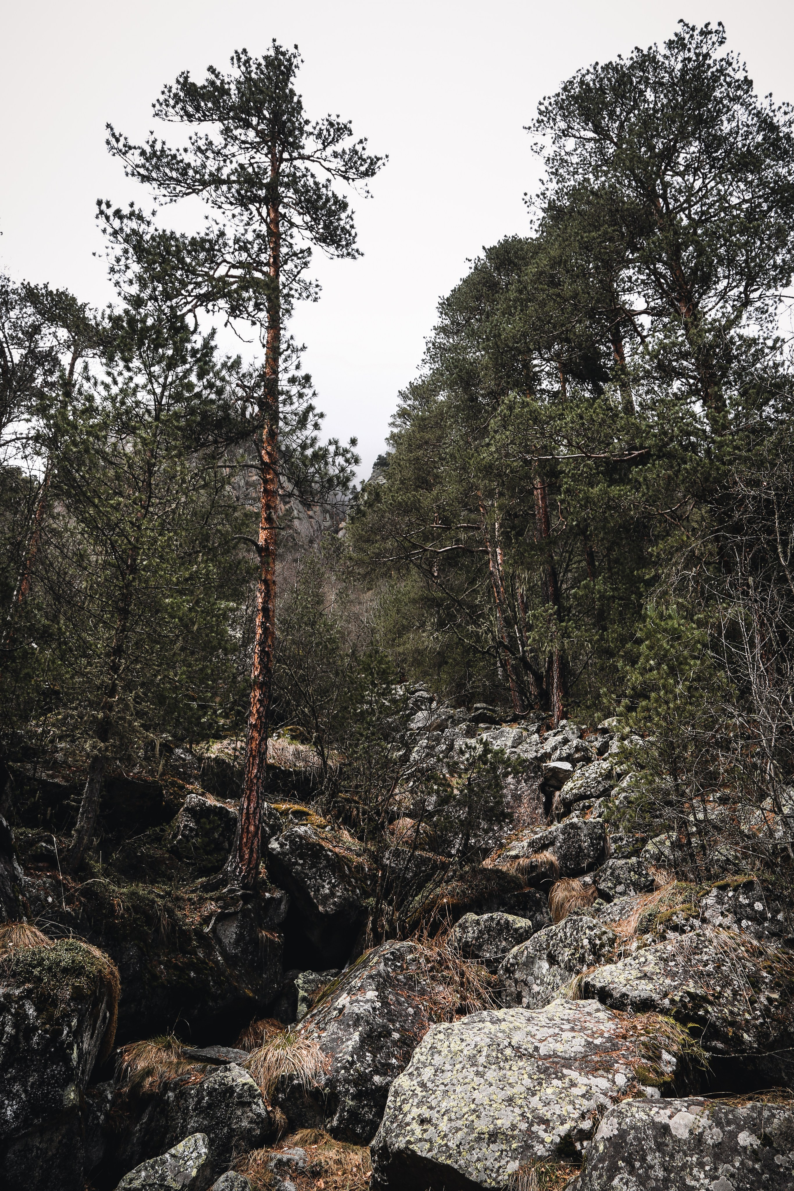 Кавказ: Северная Осетия. Дарья Письменюк / Darya Leitstern — фотограф, музыкант, журналист, путешественник