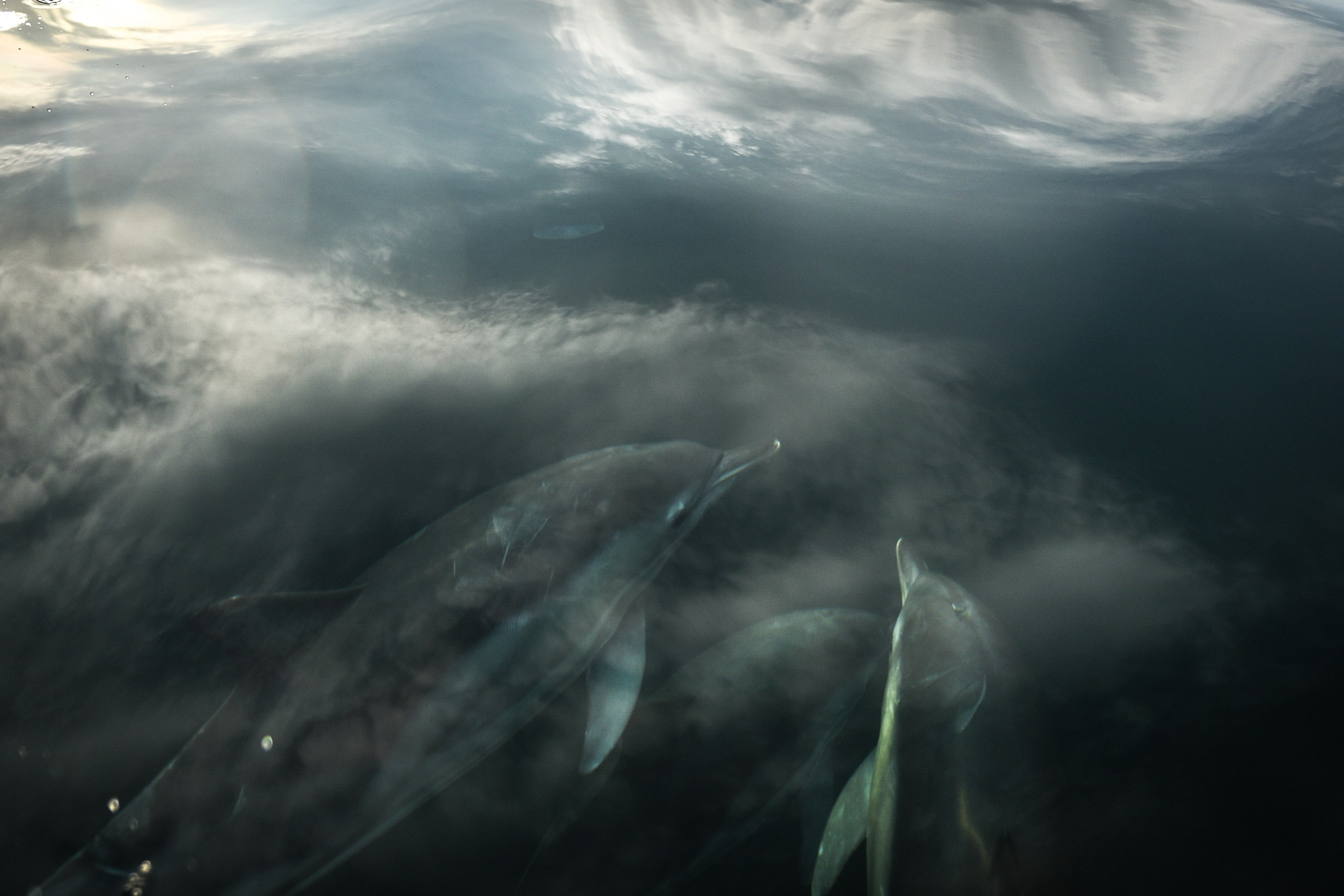 Wild and free. Anastasia Serdyuk, travel photographer, travel photo, portraits, stories, fineart prints