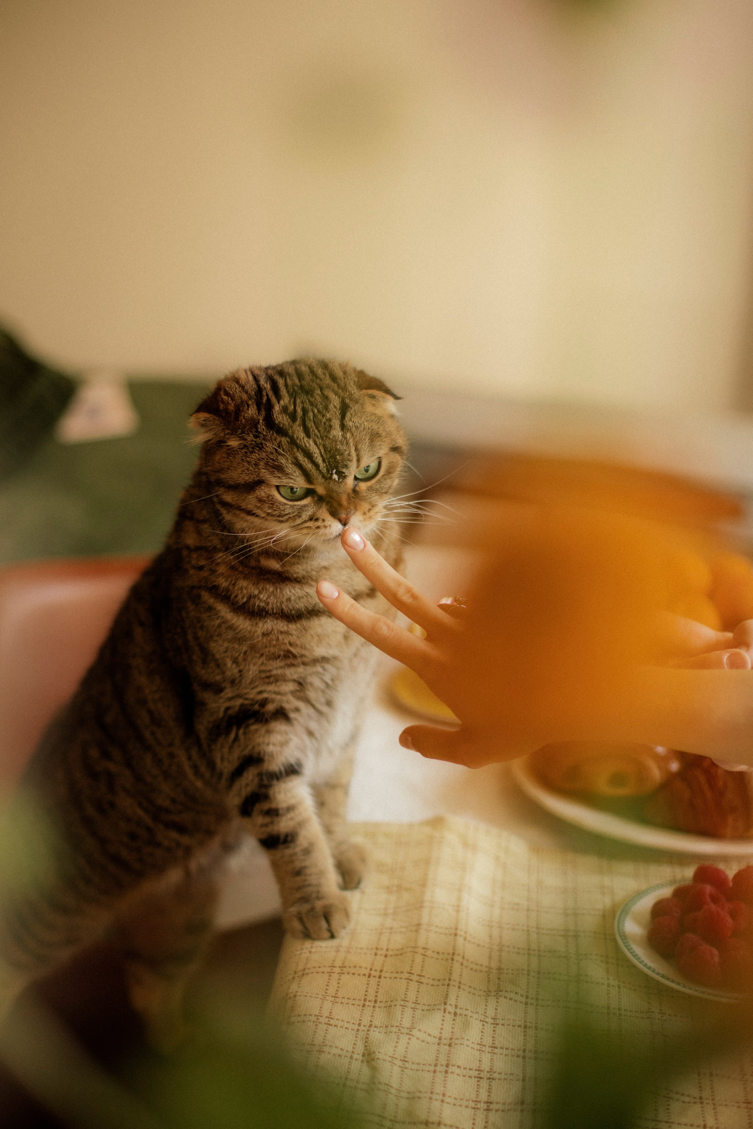 Nastya&Artyom. Photographer Anastasia Kirnosenko