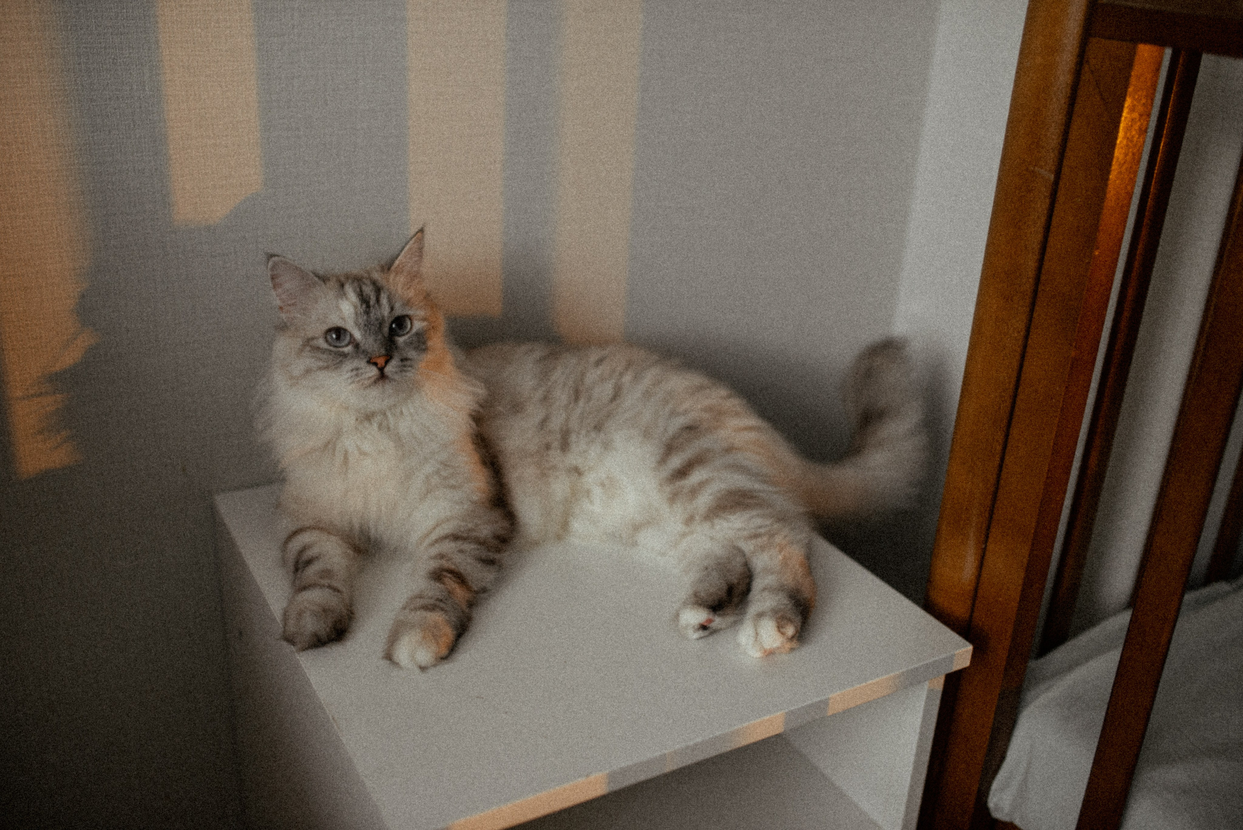 Галина Чекунова Фотограф в Ростове-на-Дону