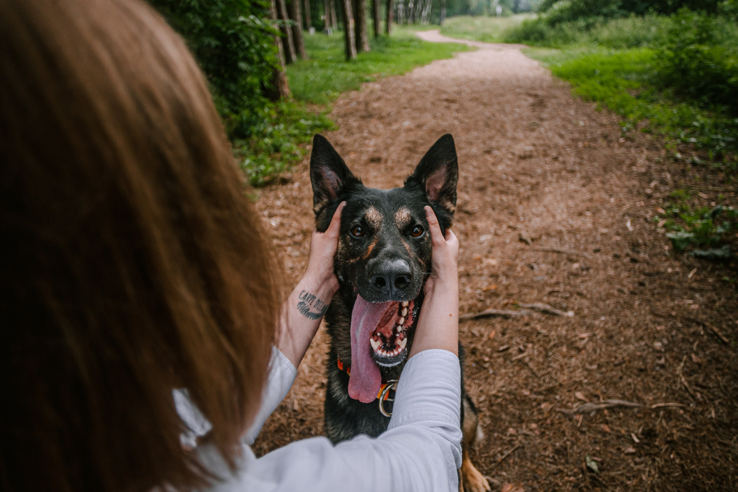 Лесная летняя фотопрогулка. Фотограф-анималист Татьяна Степанова