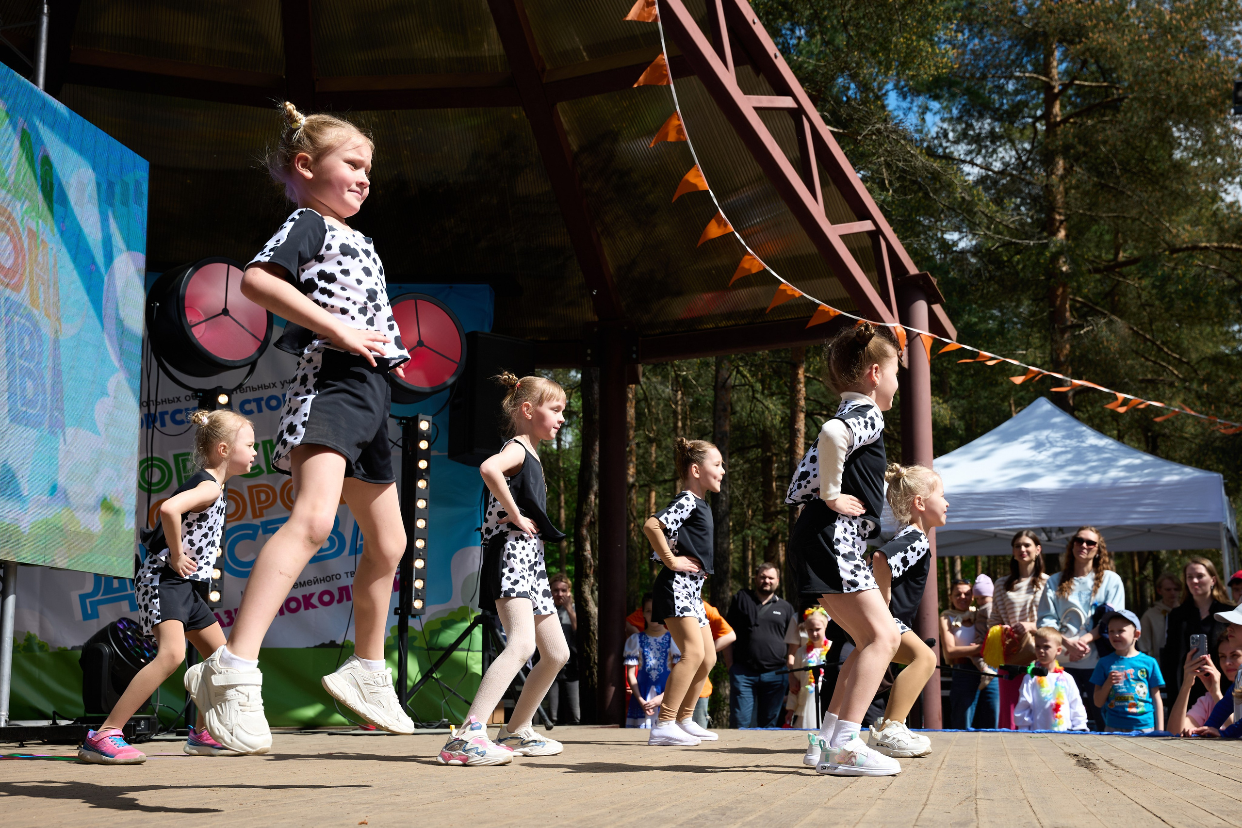 Выборгская сторона. Фотограф в Санкт-Петербурге