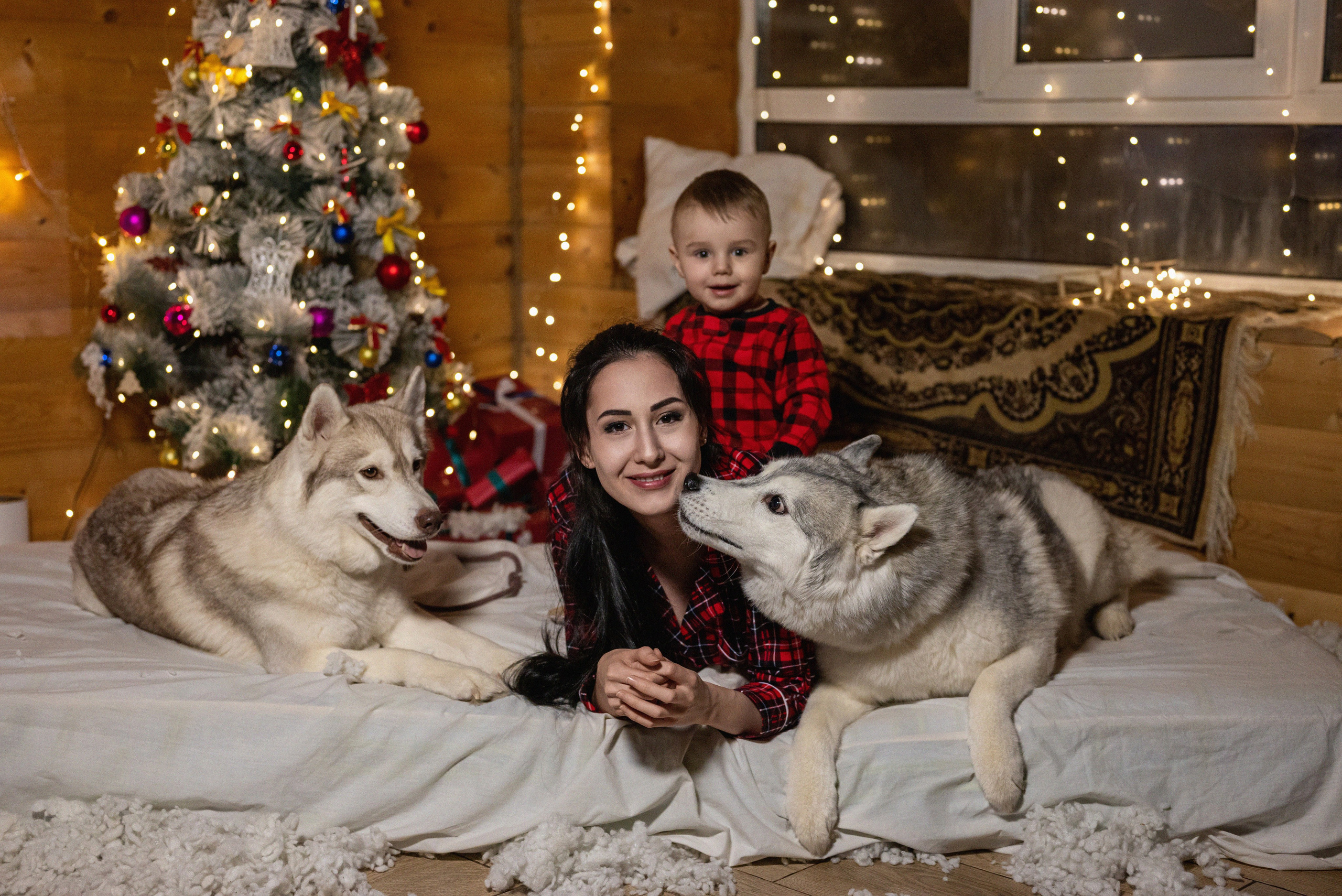 Фотопроект с хаски 2024 г. Фотограф в городе Салават