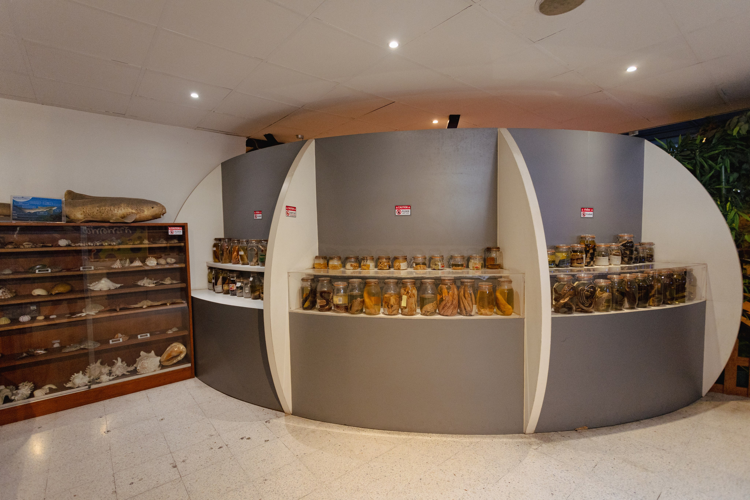 Bangkok Planetarium. Photographer Sonkina Tatiana (Tanya Ash)