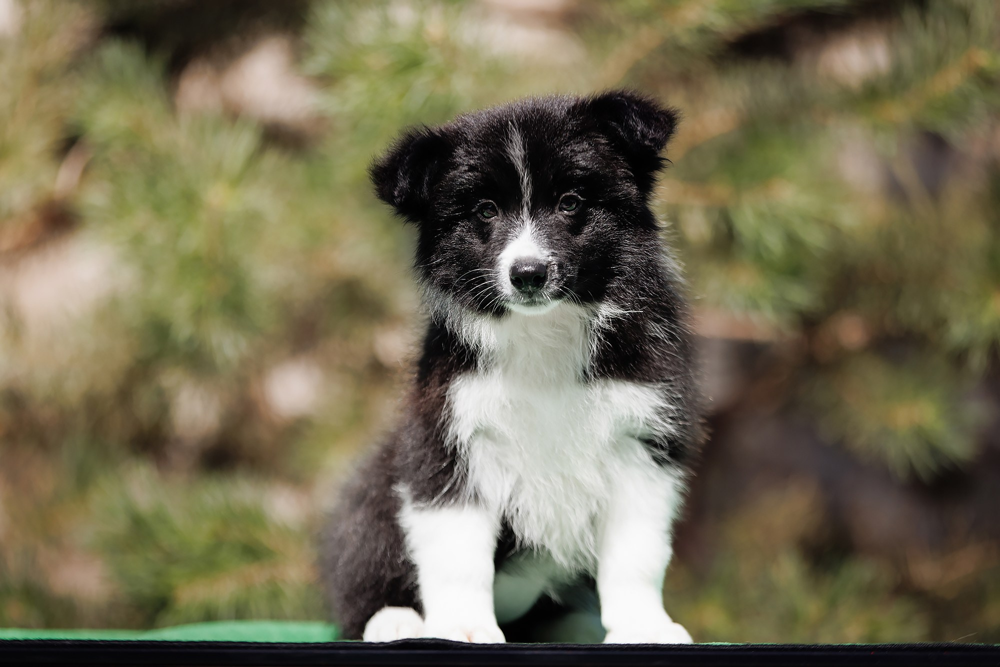 Трава у дома. О нас