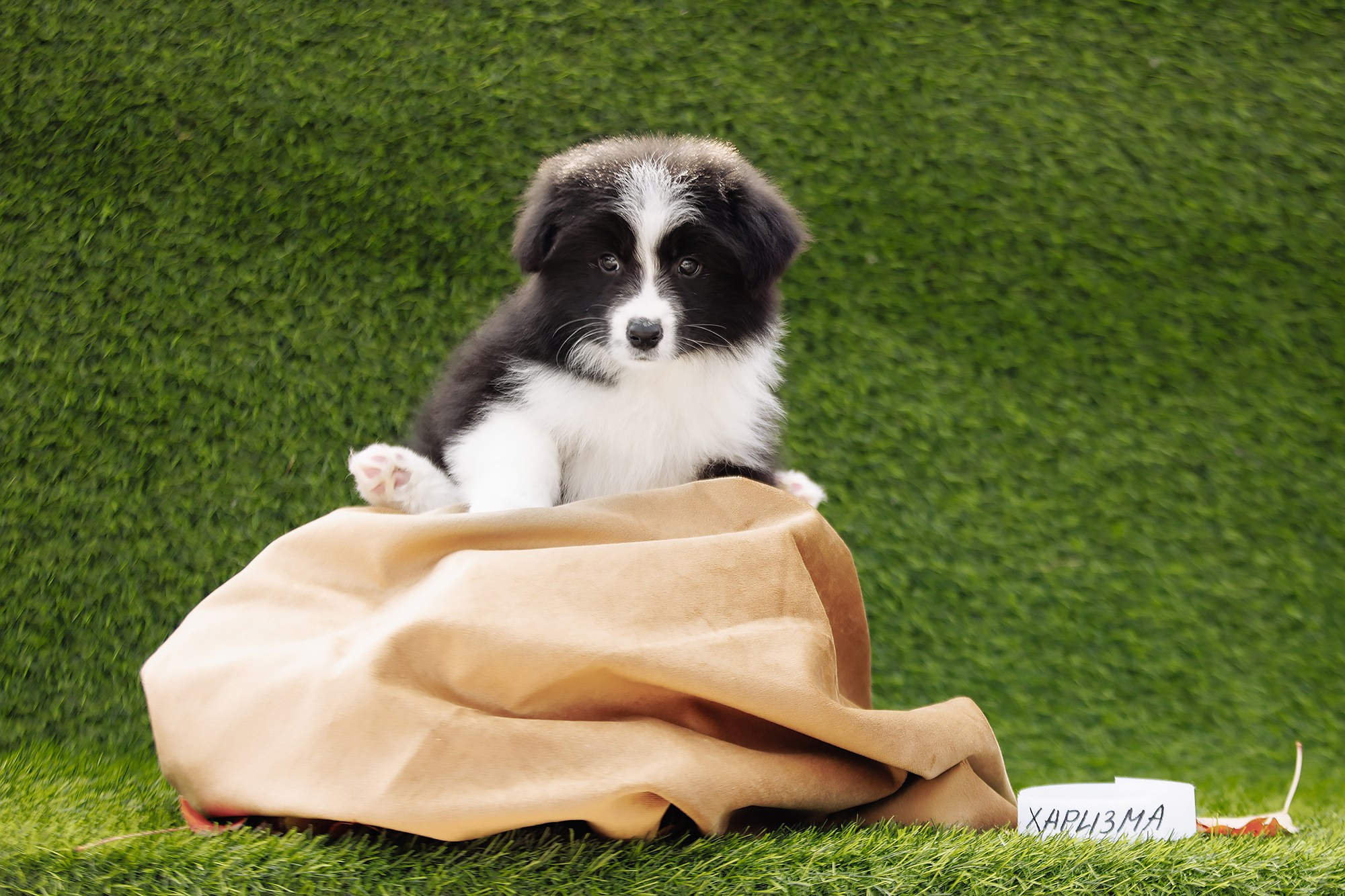 Новый лист. О нас