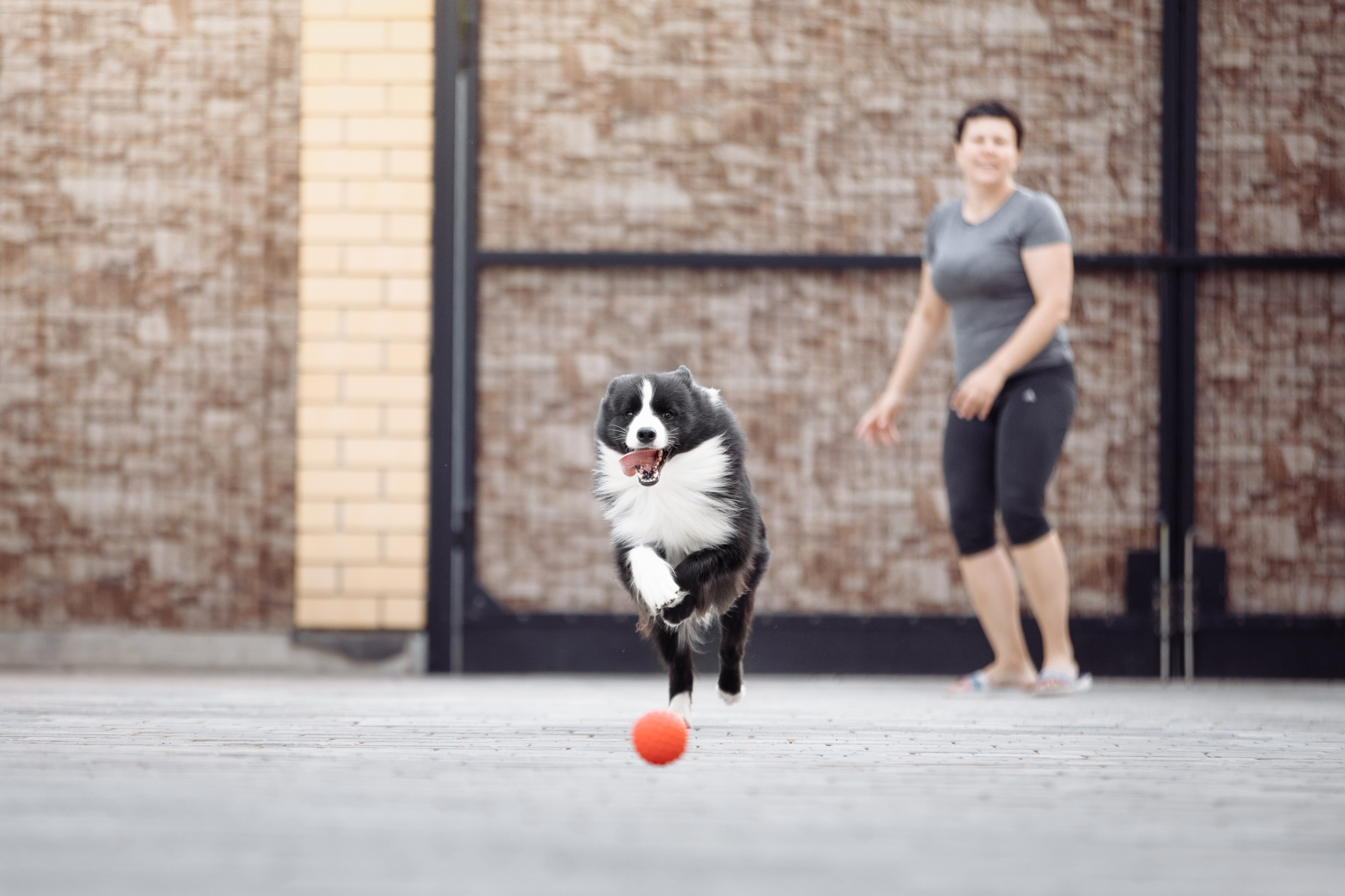 Свое место. О нас