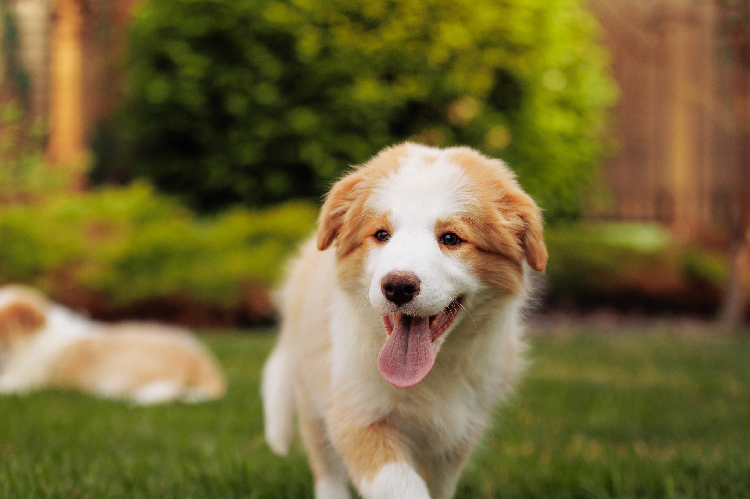 СОлнечные. О нас