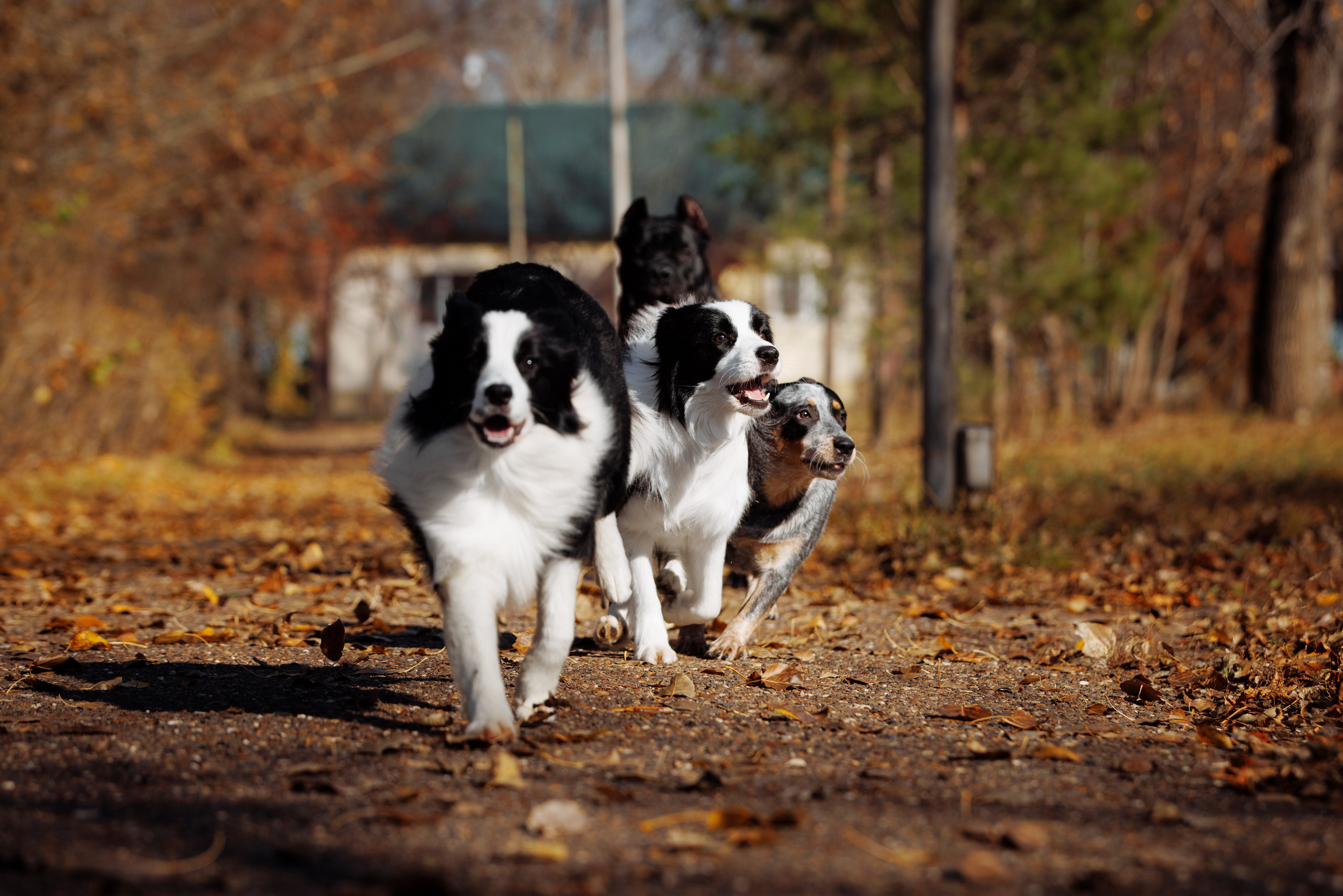 Выставка октября в Оренбурге. О нас