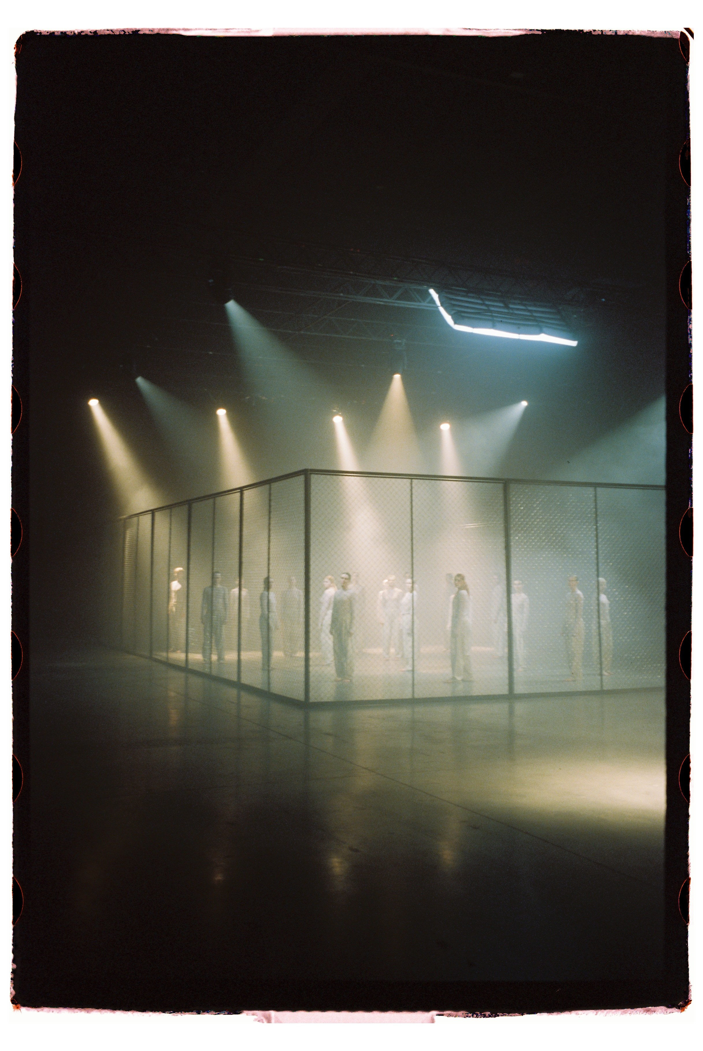 Unhuman by aliens. Tashaosm.com