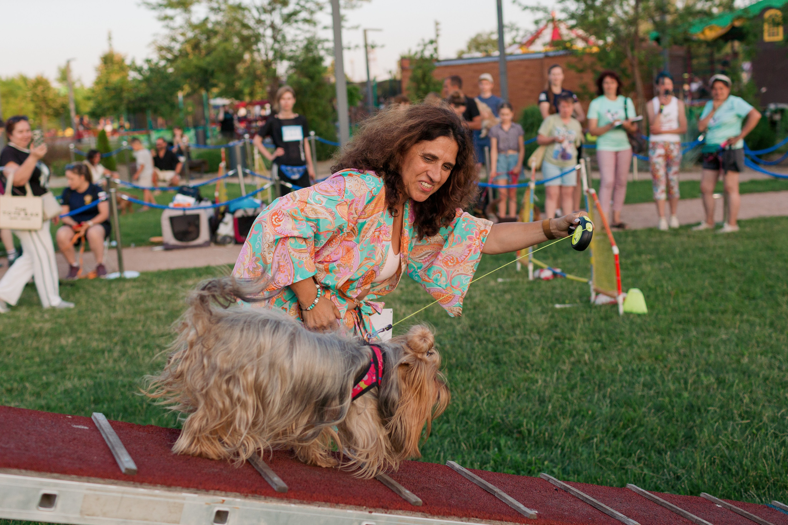 Dog Fest 2024. Главная