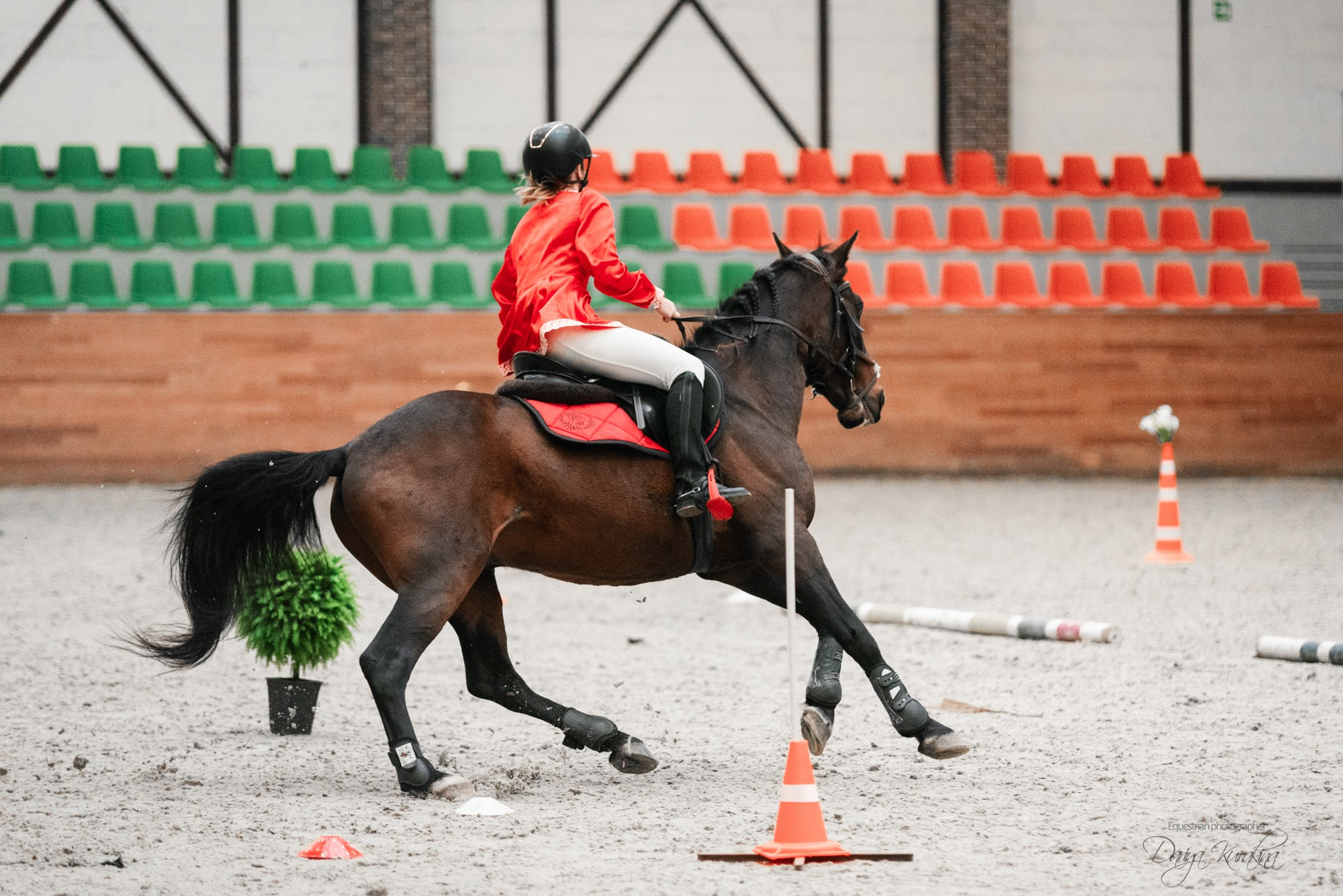 8-я международная выставка Конная Россия. Конный фотограф Куракина Дарья • Фотосессии с лошадьми
